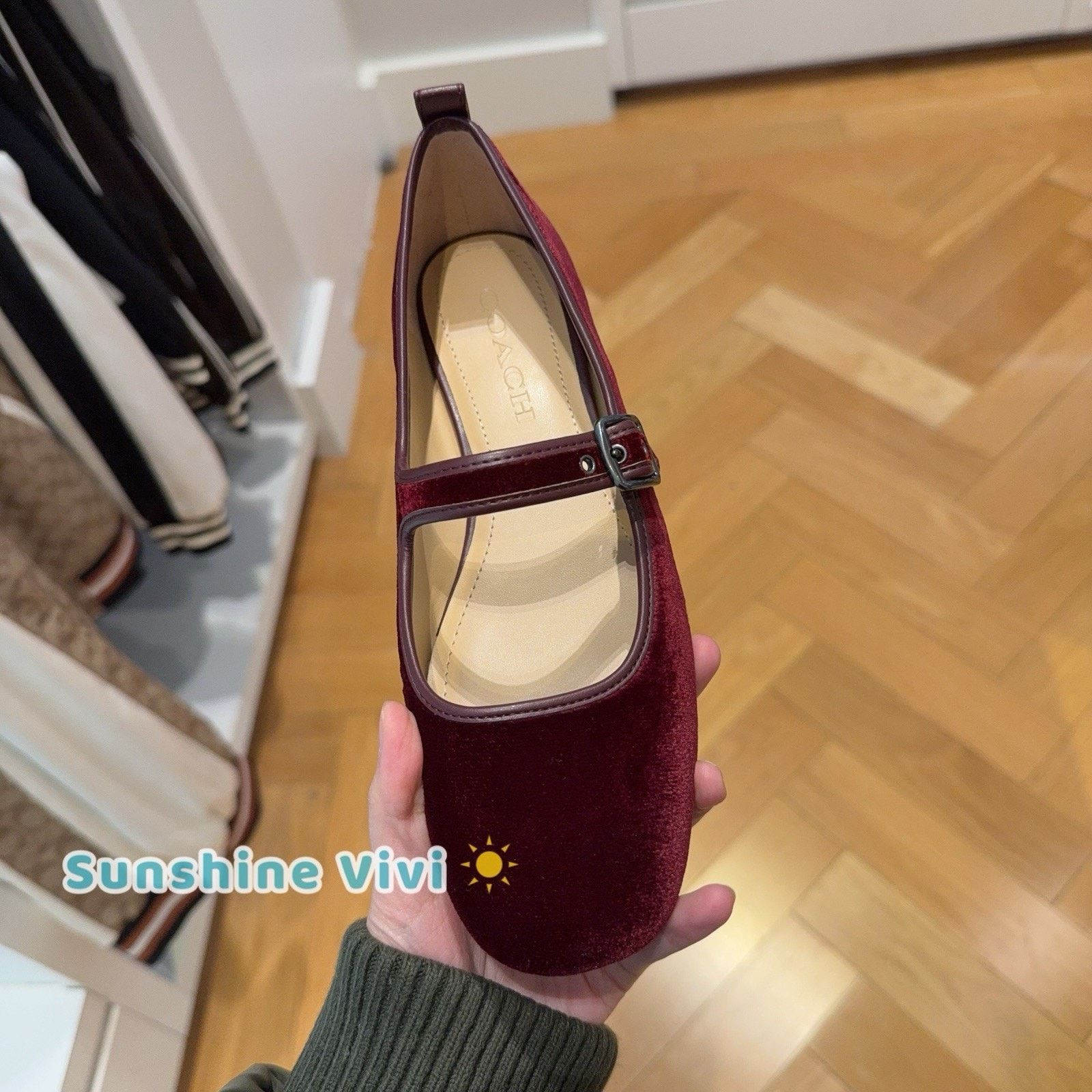 Coach NEW Coach C Rivet Mary Jane Burgundy/Merlot CCG46 Velvet us6 Size US 6 / IT 36 - 1 Thumbnail