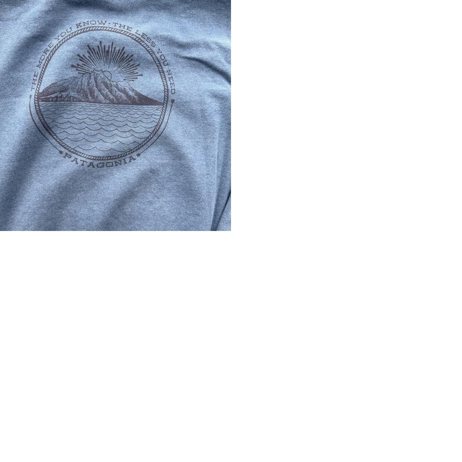 Patagonia Patagonia Hoodie Mens Small Blue Organic Cotton Graphic Fleece Kangaroo Pocket Size US S / EU 44-46 / 1 - 9 Thumbnail