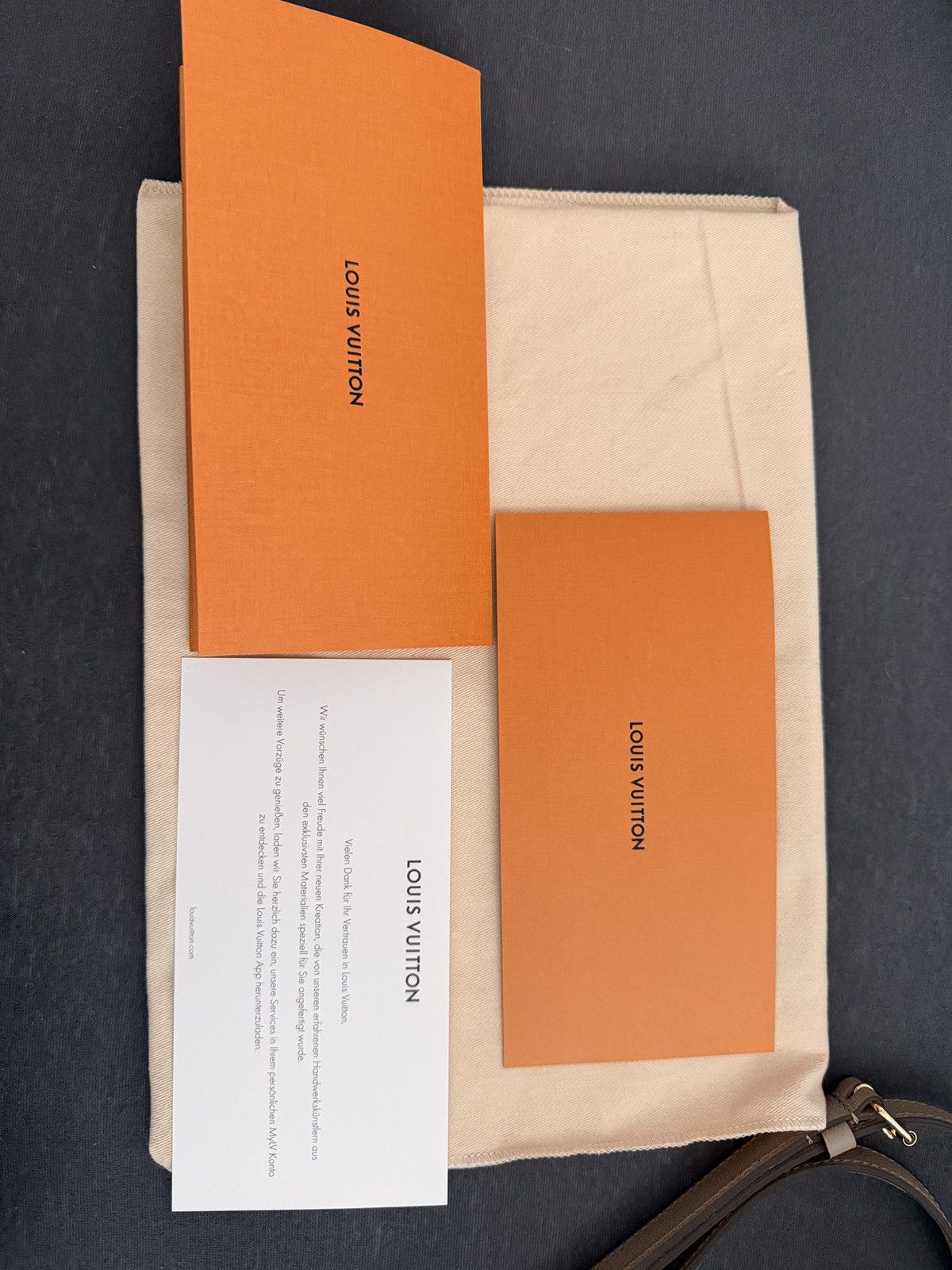 Louis Vuitton Louis Vuitton Bag Size ONE SIZE - 12 Thumbnail