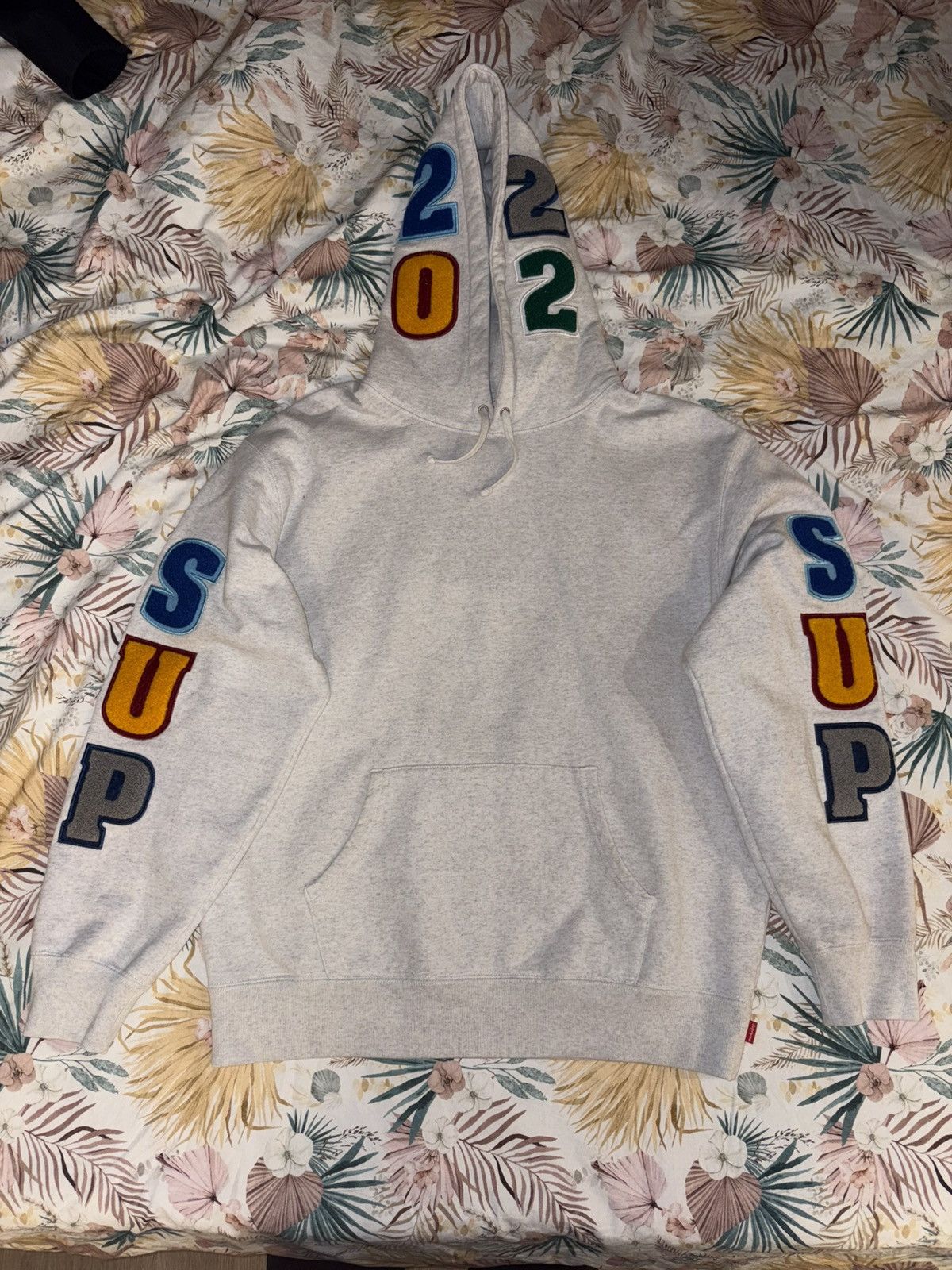 Supreme Supreme Team Chenille Hooded Sweatshirt (SIZE M) Size US M / EU 48-50 / 2 - 1 Thumbnail