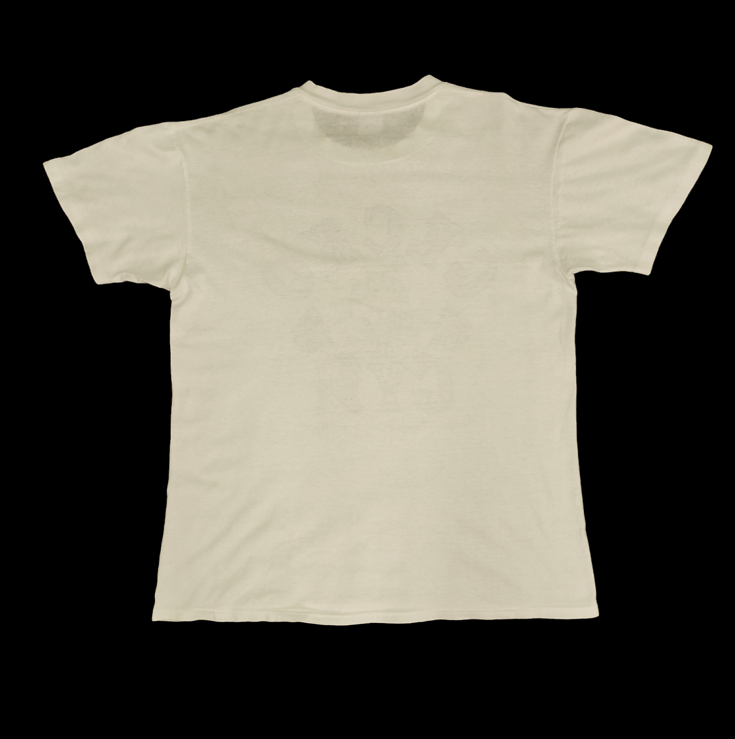 Vintage Vintage 80s Gecko Gym Hawaii T-Shirt Size US L / EU 52-54 / 3 - 8 Thumbnail