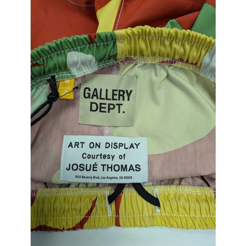 Gallery Dept. o1rshd1 Zuma Shorts in Multicolor Size US 32 / EU 48 - 16 Thumbnail
