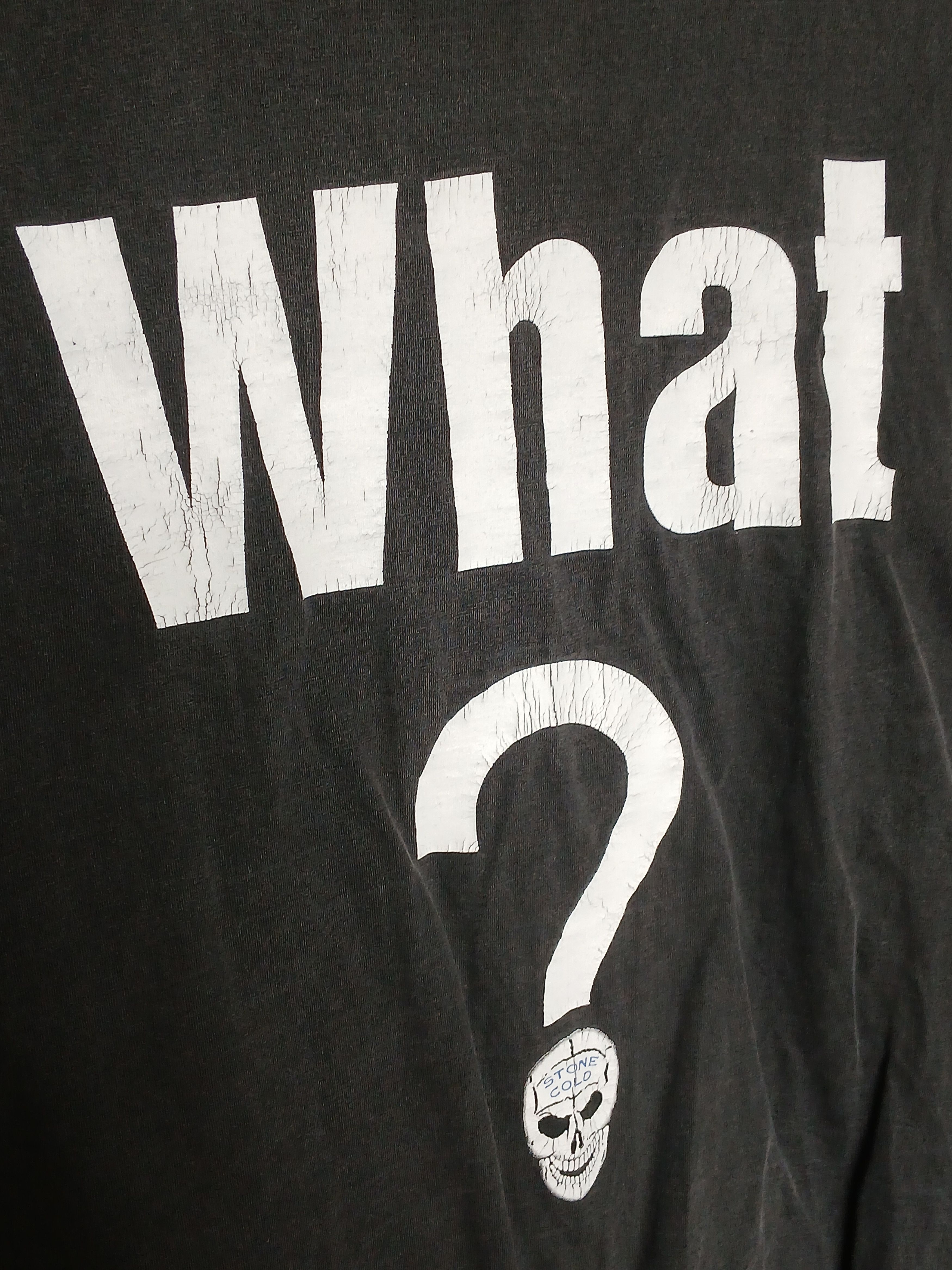 Vintage × WWE × WWF Vintage WWE Stone Cold Wrestling T-Shirt Size US L / EU 52-54 / 3 - 4 Thumbnail