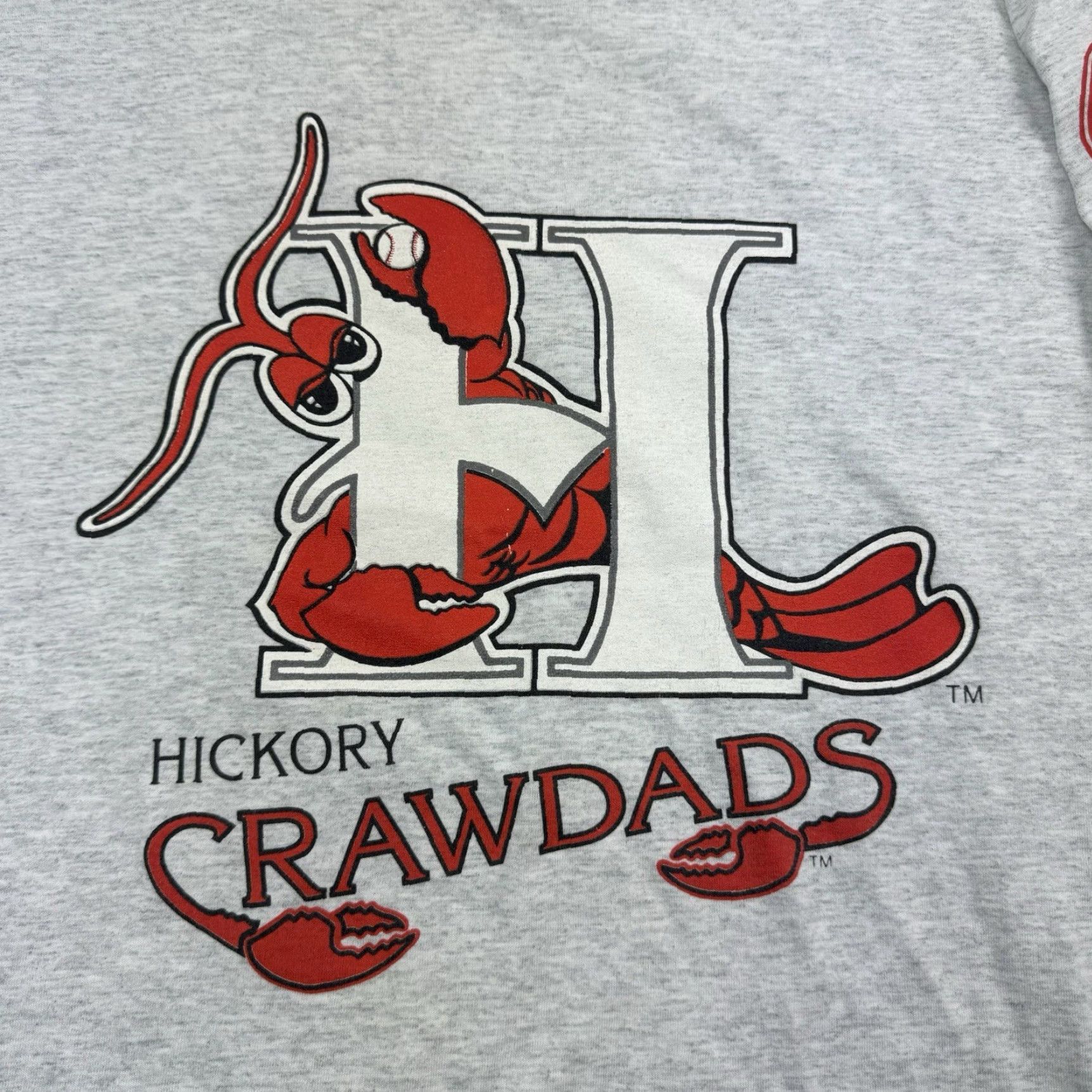 Fruit Of The Loom Vintage North Carolina Hickory Crawdads T-Shirt Adult Large Gray 90s MiLB Sports Mens Size US L / EU 52-54 / 3 - 3 Thumbnail
