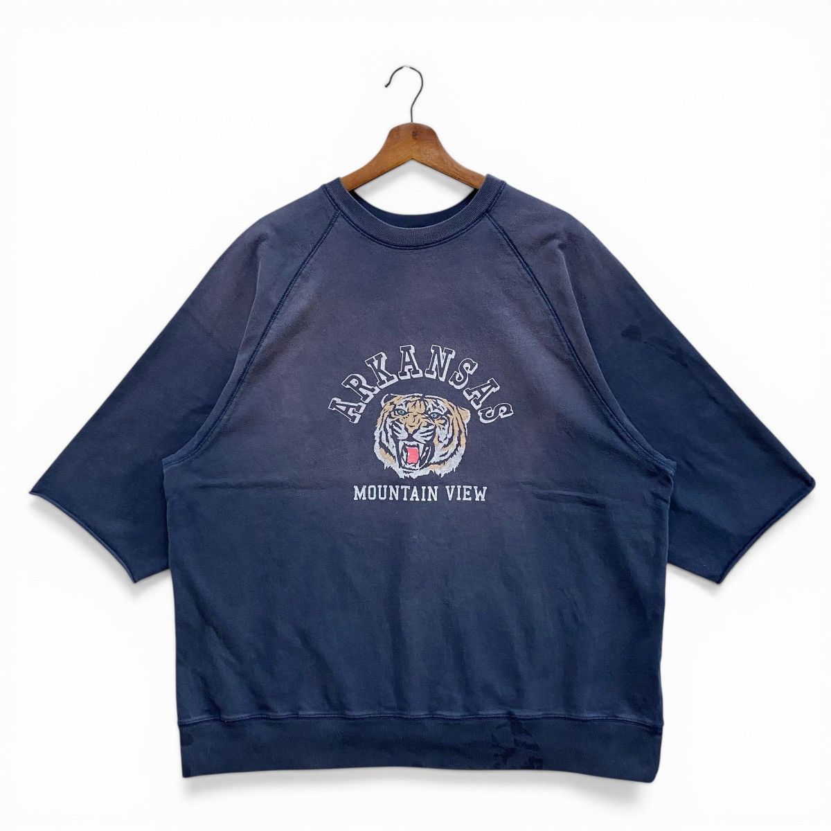 Vintage Vintage Screen Stars Arkansas Mountain View Sweatshirt Size US L / EU 52-54 / 3 - 1 Thumbnail
