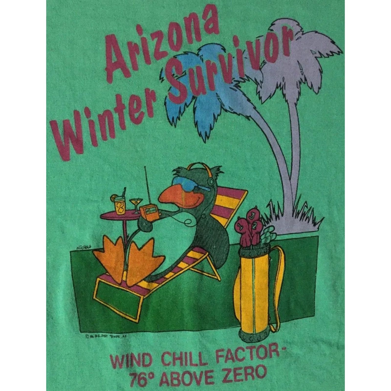 Vintage VINTAGE Arizona Winter Survivor Faded T-Shirt XL Green Funny Animal Duck Grunge Joke 80s 90s Mens XL USA United States Single Stitch Size XL Size US XL / EU 56 / 4 - 2 Thumbnail