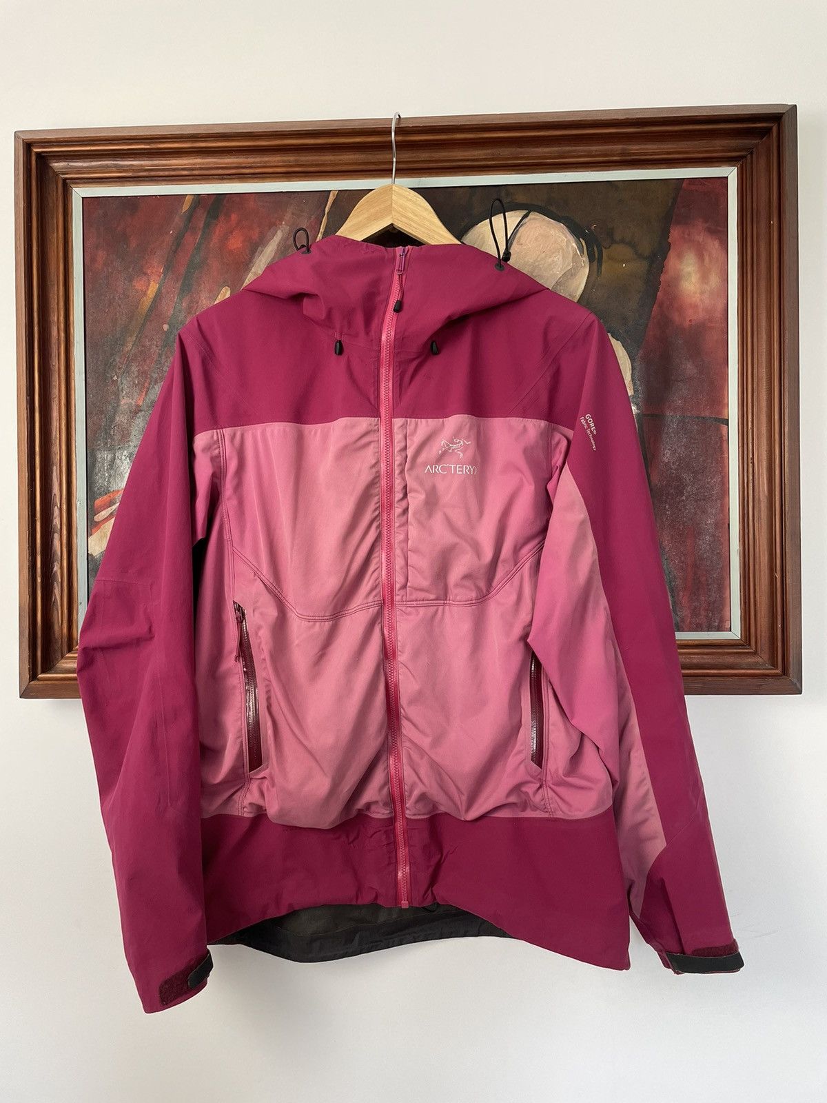Arc'teryx Arc’Teryx Jacket Pink Women Outdoor Hype Streetwear Goretex Size M / US 6-8 / IT 42-44 - 1 Thumbnail