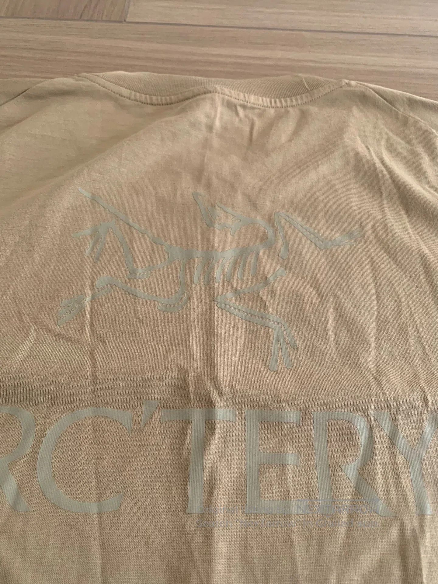 Arc'teryx Arc'teryx Kragg SL Cotton Bird Word SS Men's T-Shirt. Size US L / EU 52-54 / 3 - 3 Thumbnail