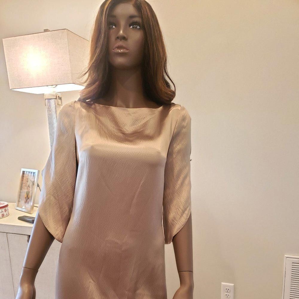 Bcbgmaxazria BCBG Max Azria NWT Silk Shift Dress Size S / US 4 / IT 40 - 4 Thumbnail