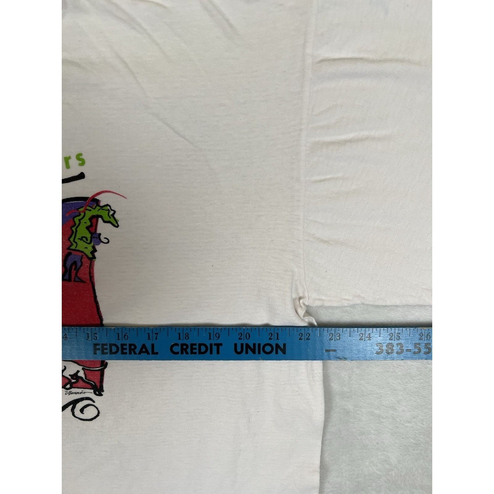Vintage Vintage Examiner Bay To Breakers I Survived T-Shirt 90’s 199 Size US L / EU 52-54 / 3 - 7 Thumbnail