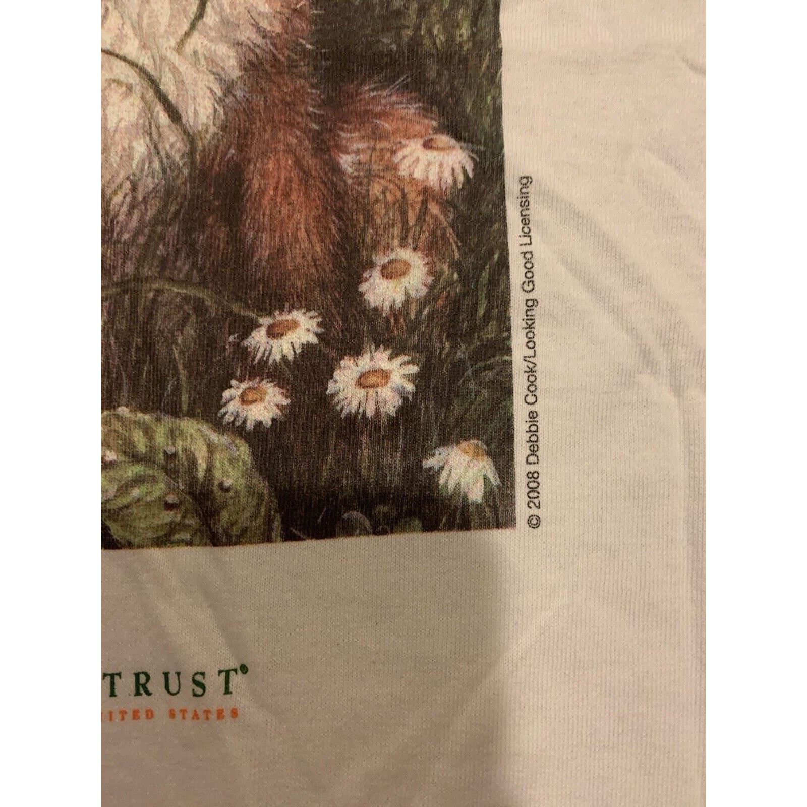 Gildan Vintage 00s Wildlife Land Trust Shirt L Humane Society Fox Size US L / EU 52-54 / 3 - 3 Thumbnail