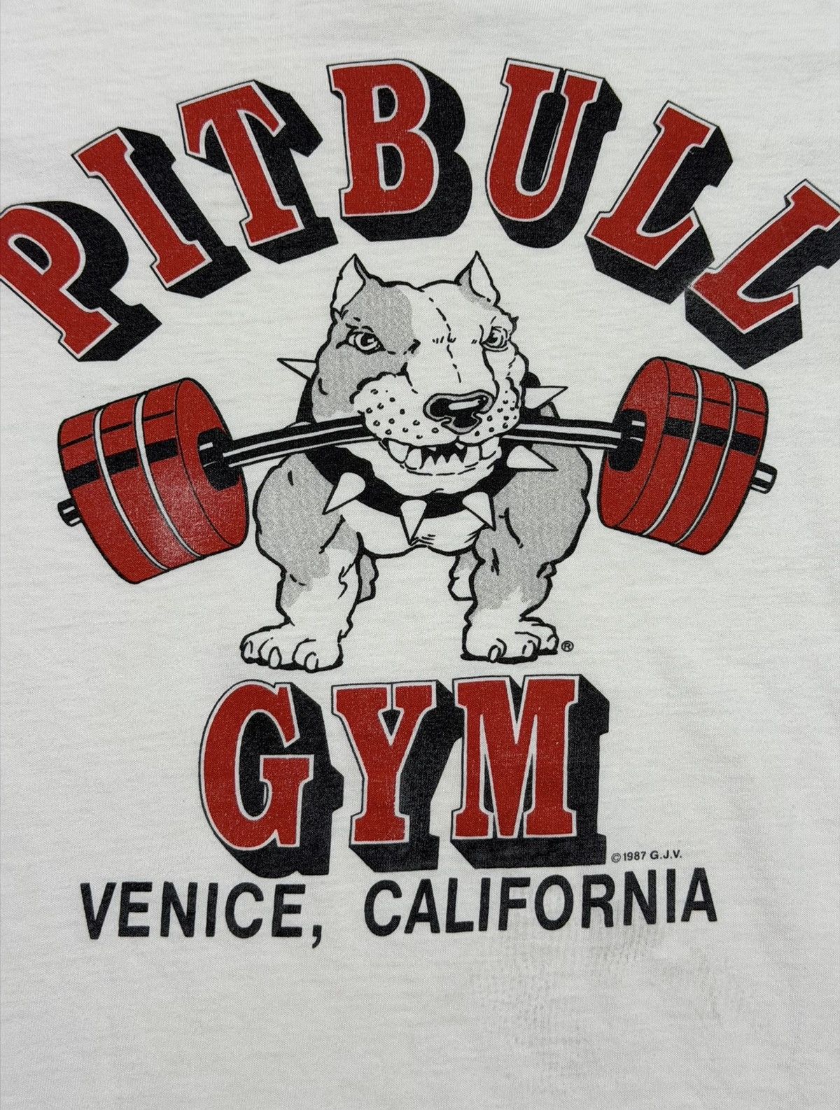 Vintage *RARE* 1986 PITBULL GYM BODYBUILDING VENICE CALIFORNIA TREN Size US XL / EU 56 / 4 - 4 Thumbnail