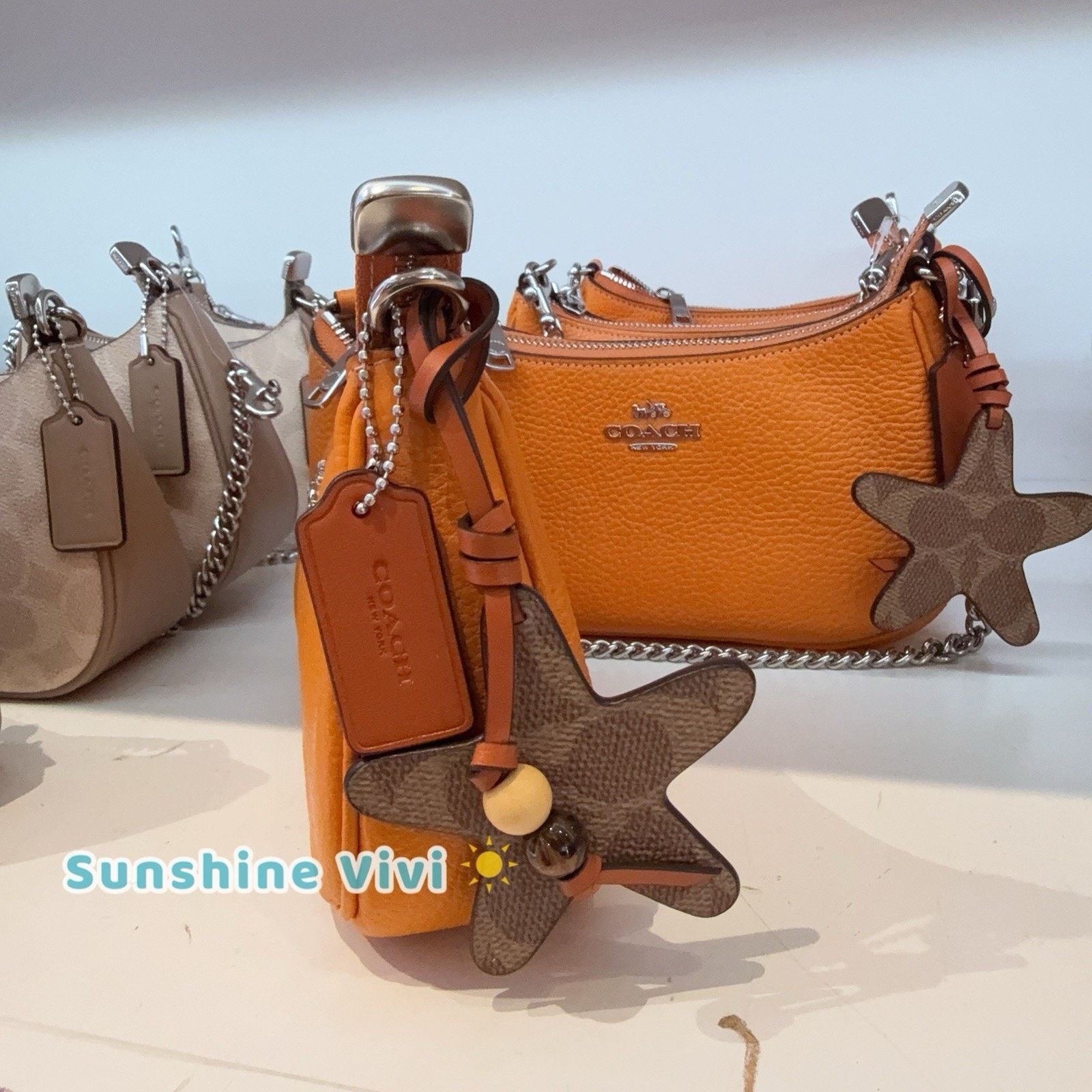 Coach NWT Coach Teri Mini Crossbody Bag Star Charm CBG79 Size ONE SIZE - 2 Thumbnail