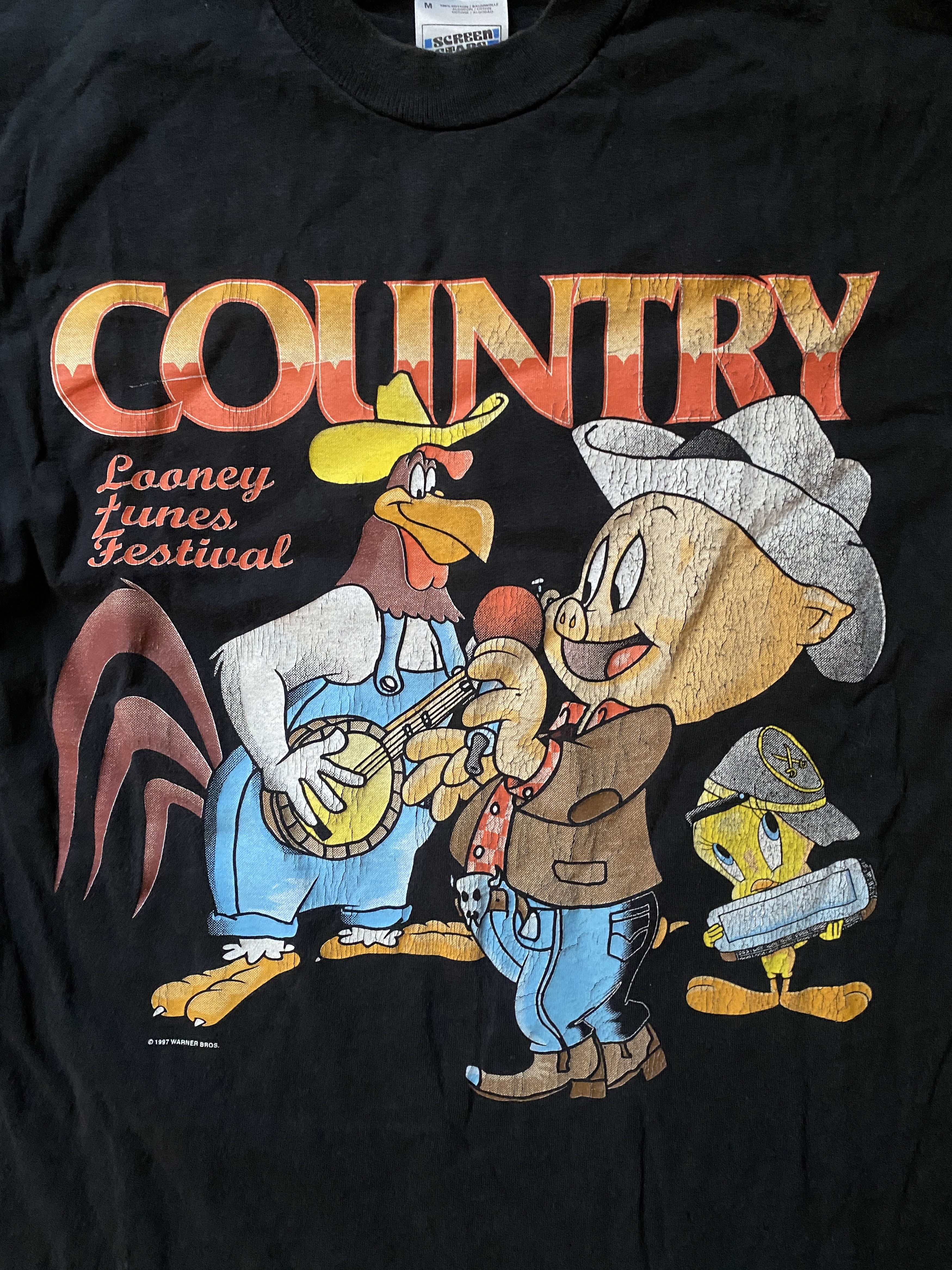 Band Tees Looney Tunes Tweety cartoon film movie longsleeve Size US M / EU 48-50 / 2 - 3 Thumbnail