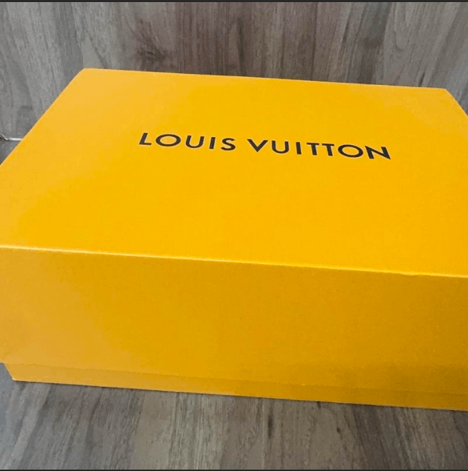 Louis Vuitton Louis Vuitton low-top sneakers Size US 6 / EU 39 - 7 Thumbnail