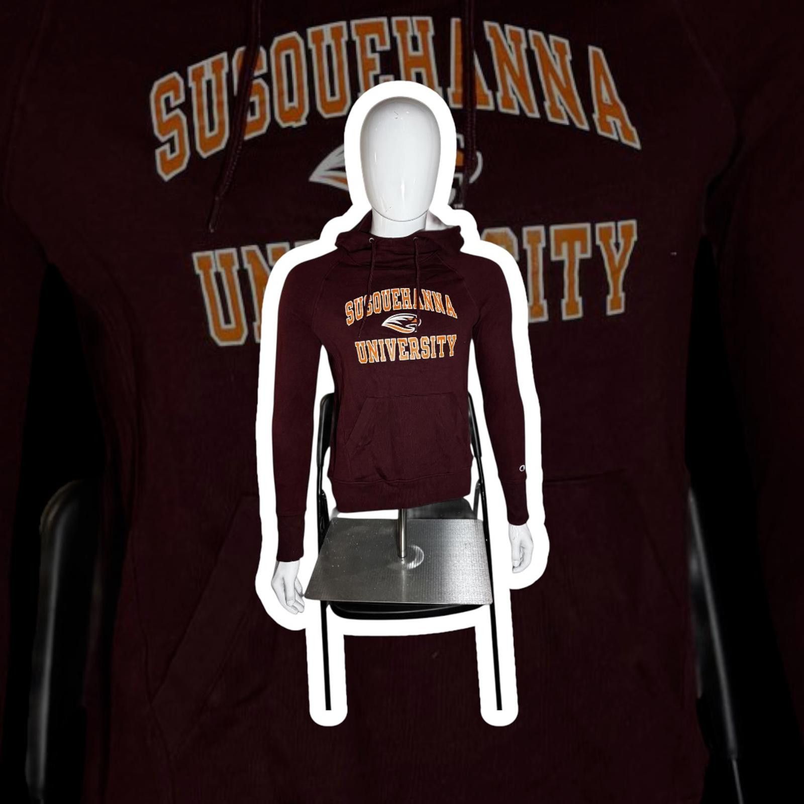 Champion Susquehanna University Maroon Hoodie Size US S / EU 44-46 / 1 - 1 Thumbnail