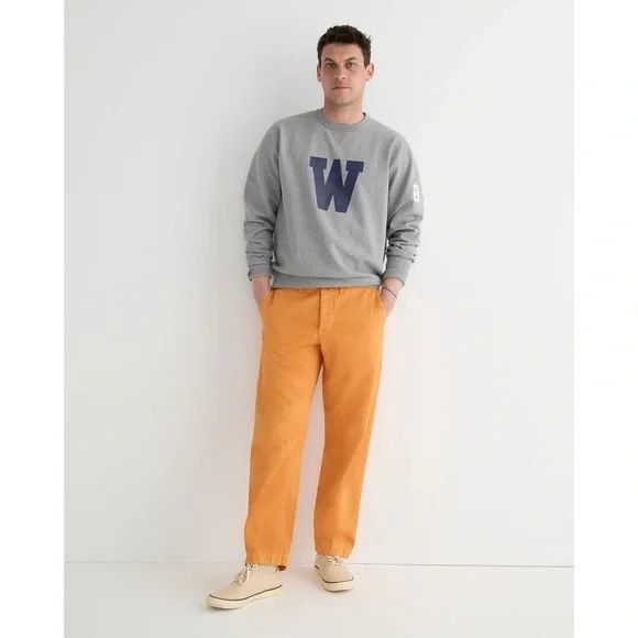 Wallace & Barnes Selvedge Officer Chino Pant