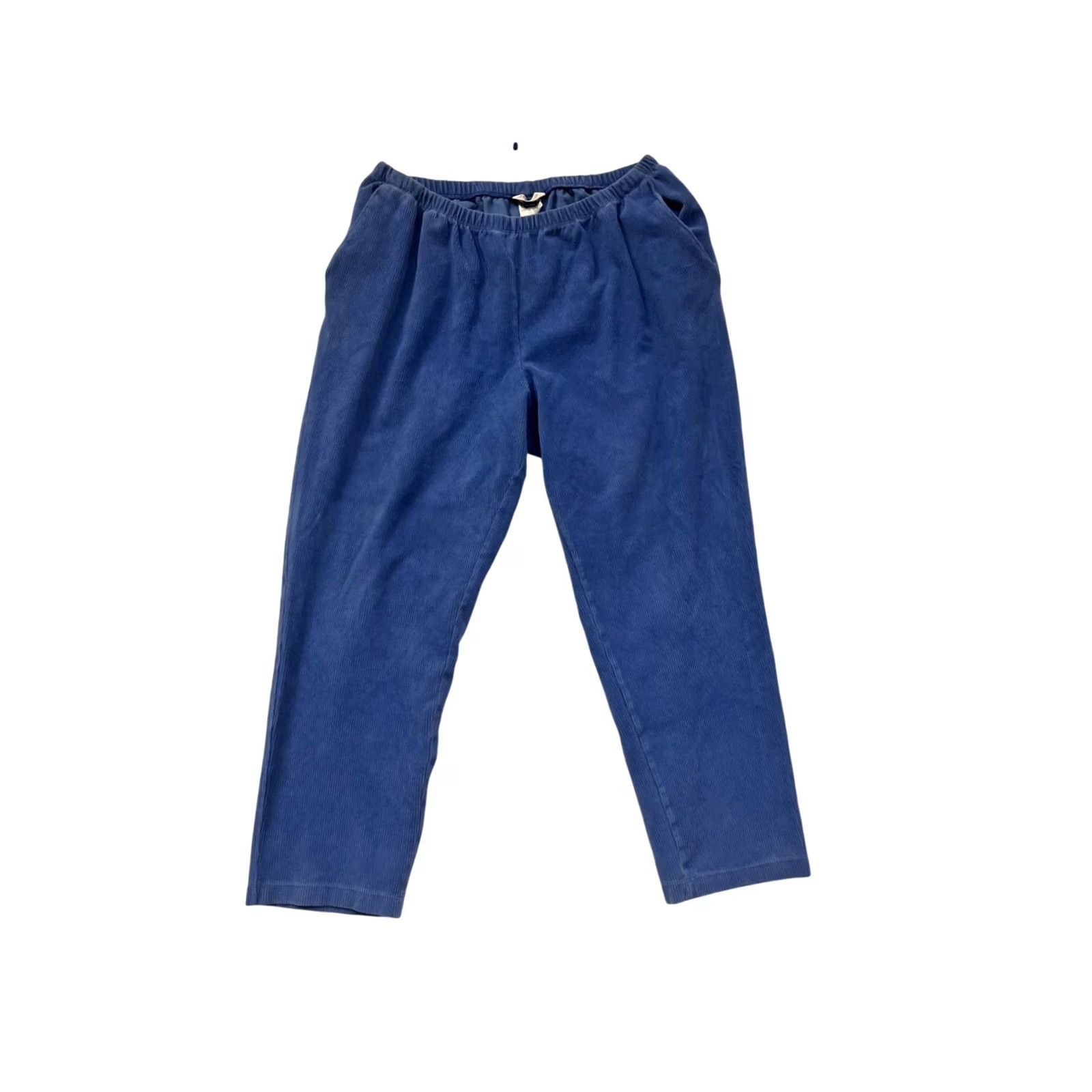 Lands' End Lands' End Corduroy Pants Womens M Blue Regular Straight-Leg Ankle Cotton Polyester Front Flat Front Machine Washable Size 32" / US 10 / IT 46 - 2 Thumbnail