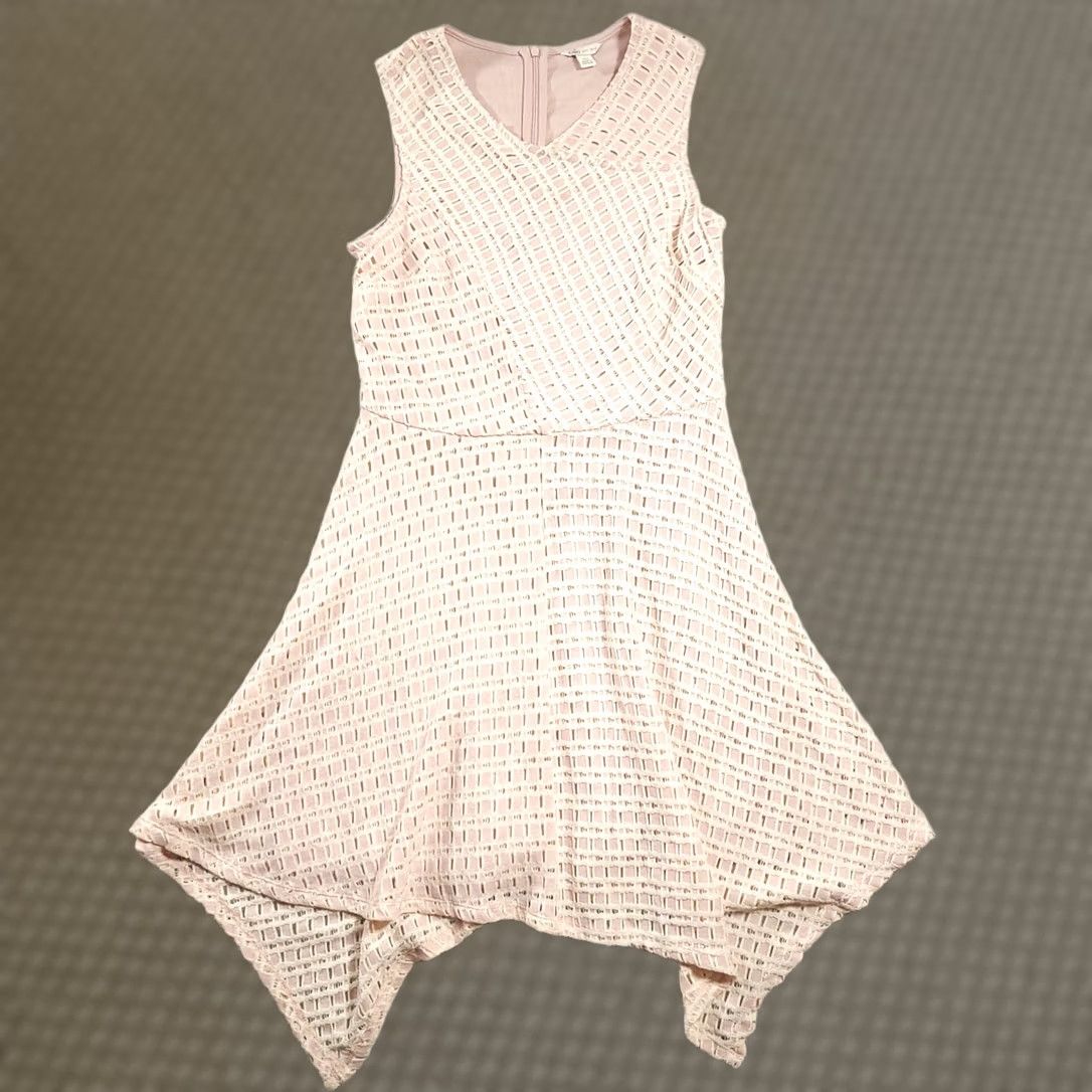 Vintage VINTAGE? No — Cato Dress Women's 10 Blush Pink Lined Shift Sleeveless Zip Size L / US 10 / IT 46 - 1 Thumbnail