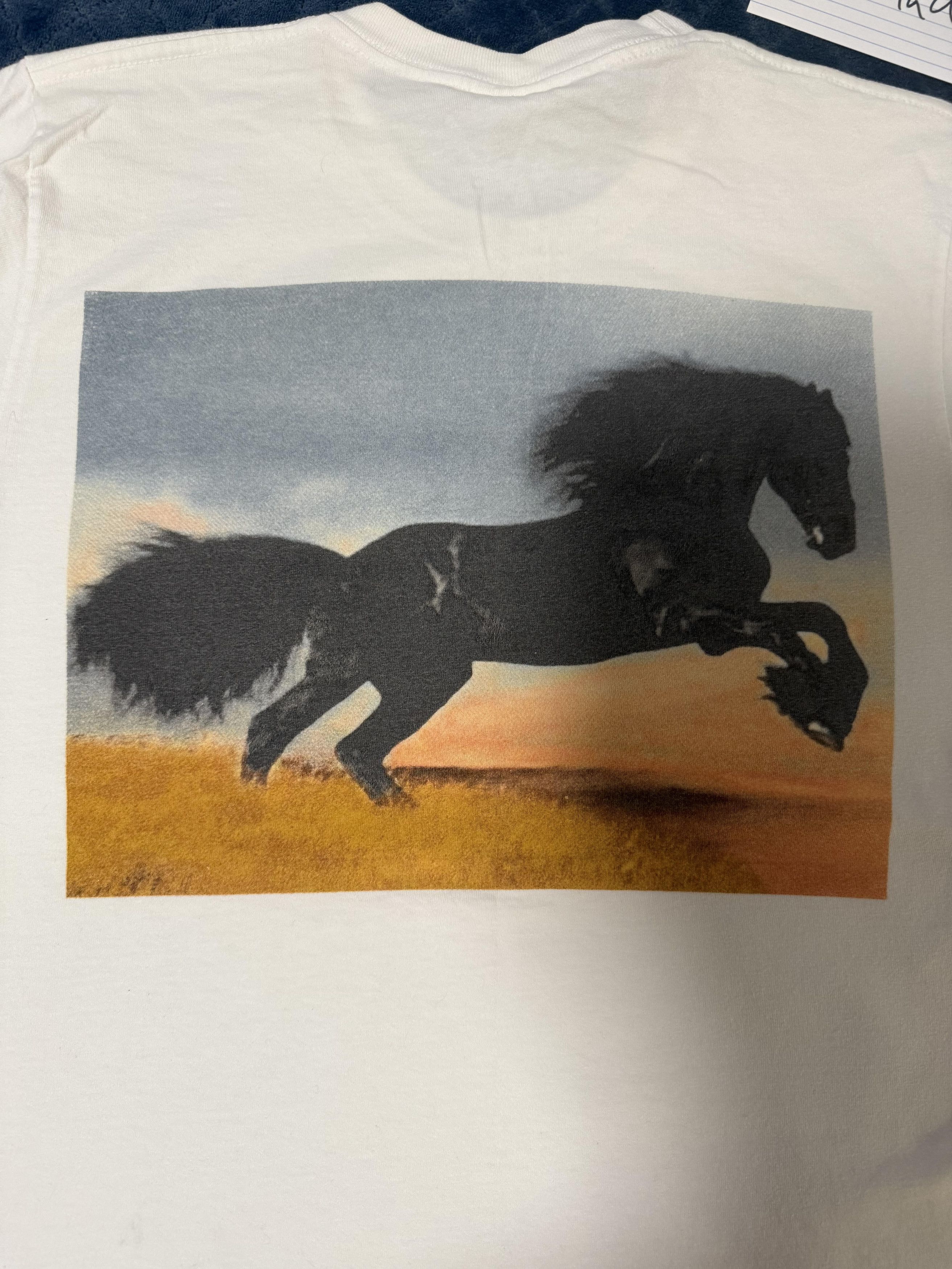 Supreme Supreme Stallion Long Sleeve T-Shirt White Size US M / EU 48-50 / 2 - 7 Thumbnail