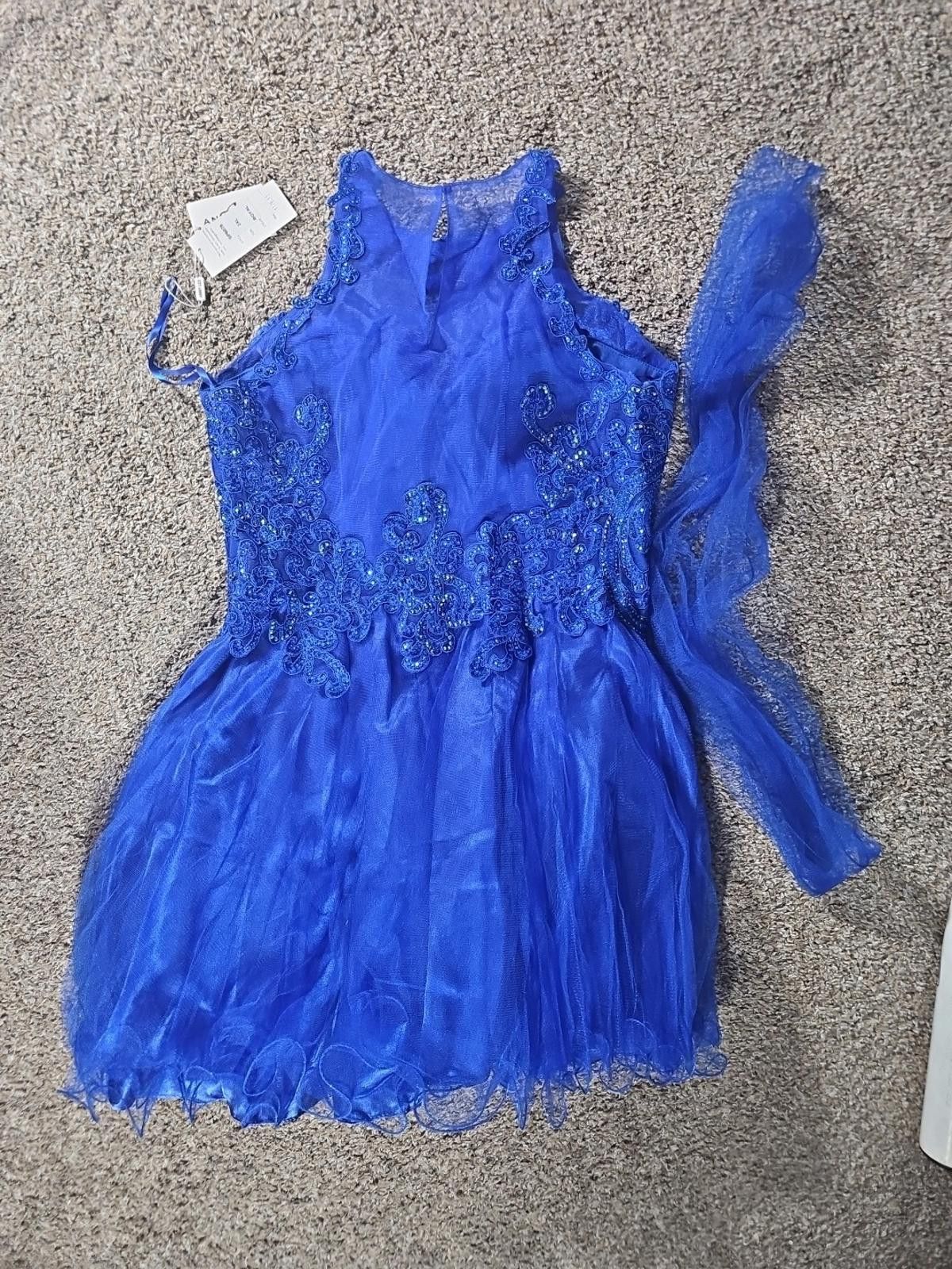 Other Anny Lee Bridal SP6076 2XL Royal Blue Dress Size XXL / US 16-18 / IT 52-54 - 4 Thumbnail