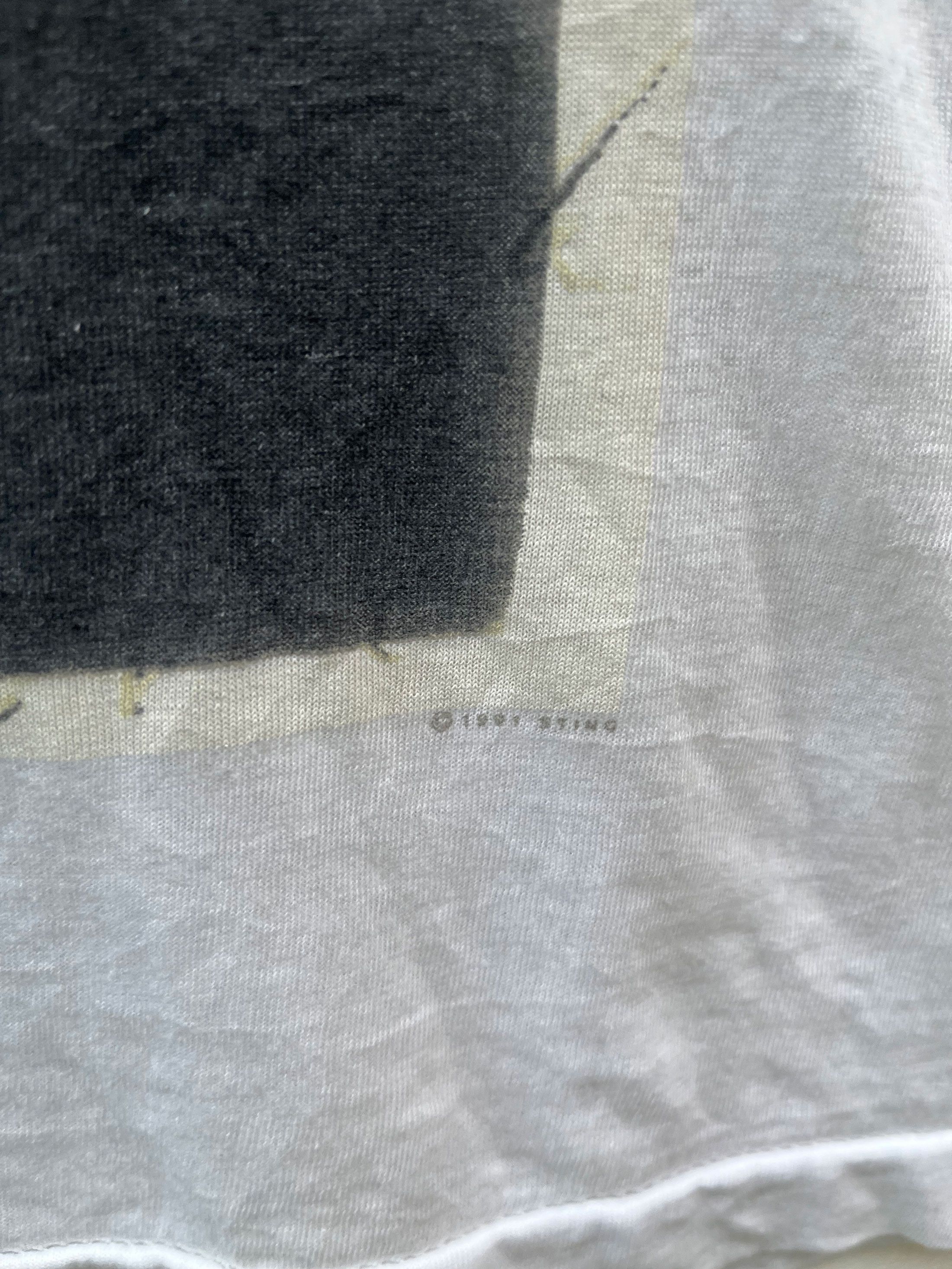 Band Tees Vintage Sting 90s Paper Thin Distressed Burn Out Size US L / EU 52-54 / 3 - 2 Thumbnail