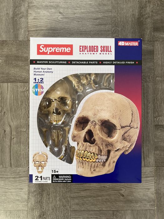 Supreme Supreme 4D Model Human Skull | Grailed