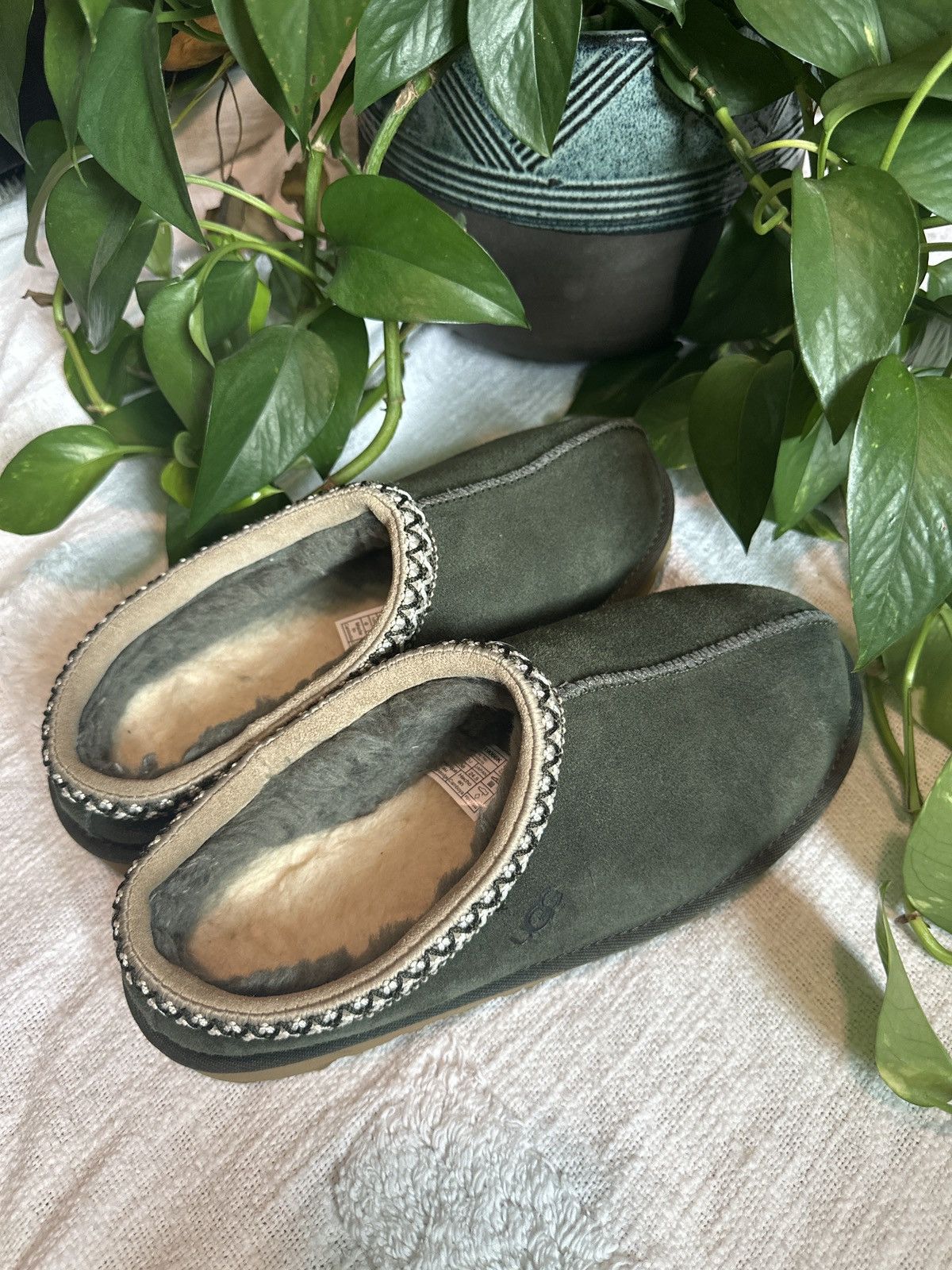 Ugg Olive Green Ugg Tasman Slippers Size US 6 / IT 36 - 4 Thumbnail