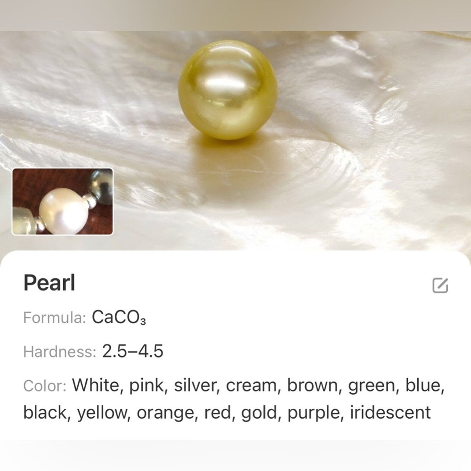 Handmade Handcrafted repurpose animal print halo Pearl necklace Size ONE SIZE - 13 Thumbnail