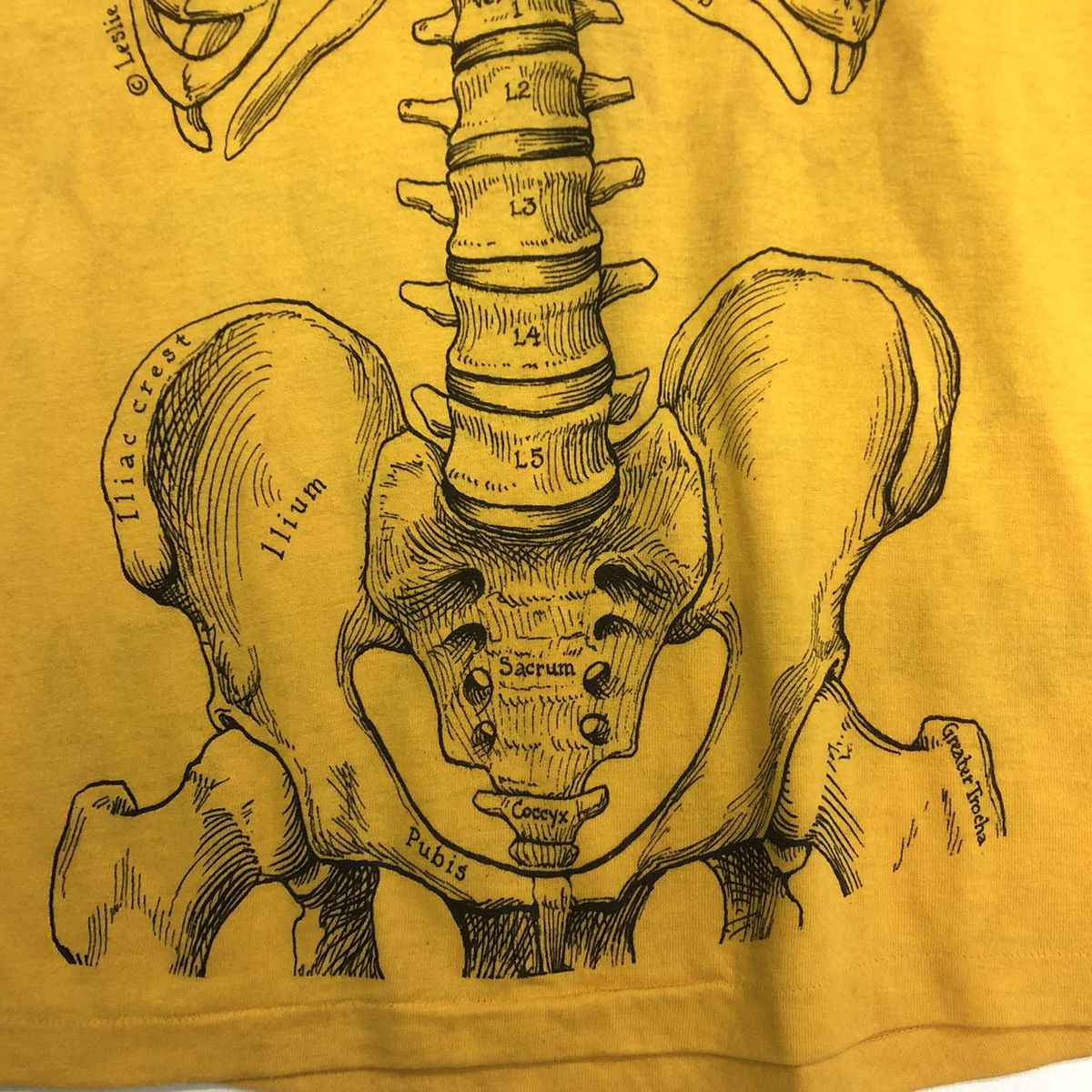 Art Comes First VINTAGE ART LESLIE ARWIN 1978 ANATOMY SKULL BONES TSHIRT Size US L / EU 52-54 / 3 - 8 Thumbnail