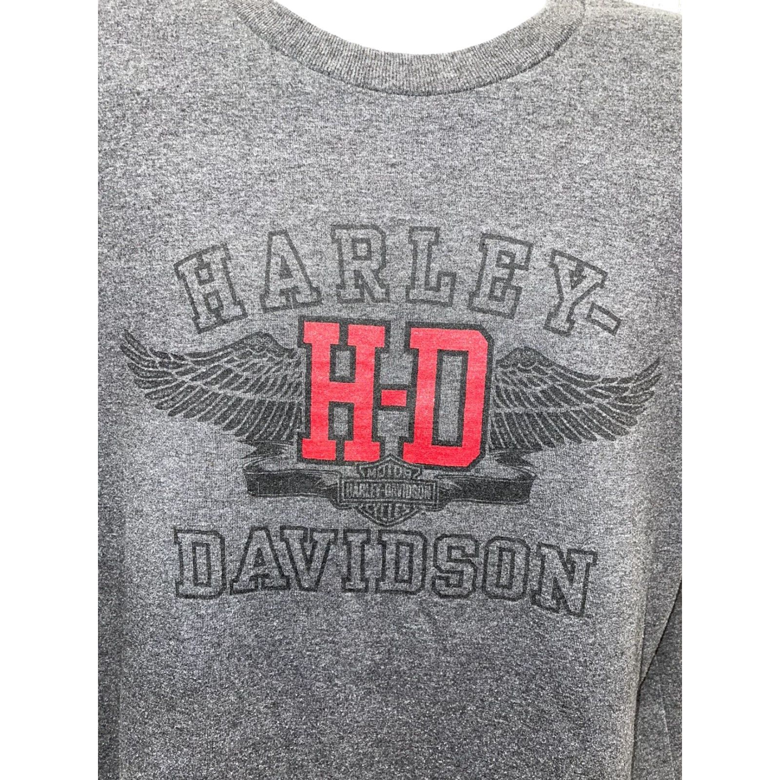 Harley Davidson Harley Davidson Motor Cycles Grey/Red Graphic T-Shirt Mens L Size US L / EU 52-54 / 3 - 5 Thumbnail