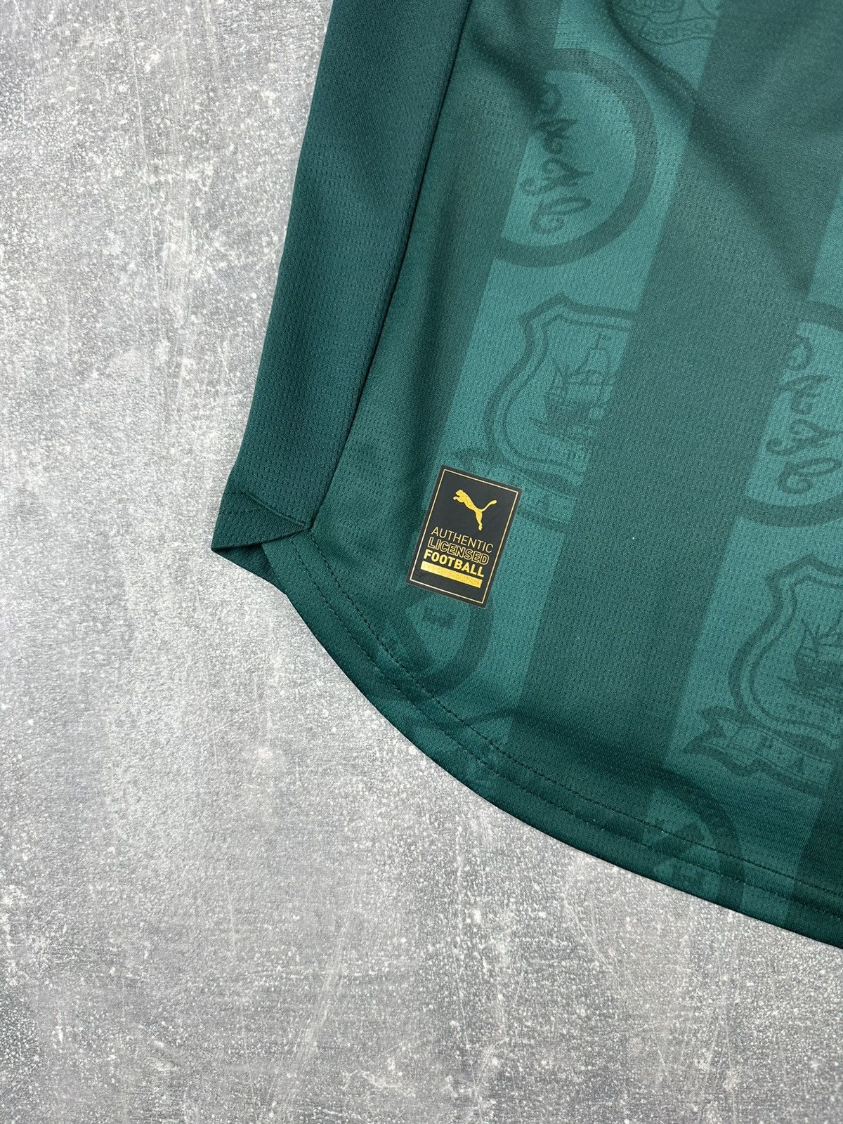 Puma Puma Plymouth Argyle 2025/26 Max Talovierov #40🇺🇦 Size US L / EU 52-54 / 3 - 4 Thumbnail