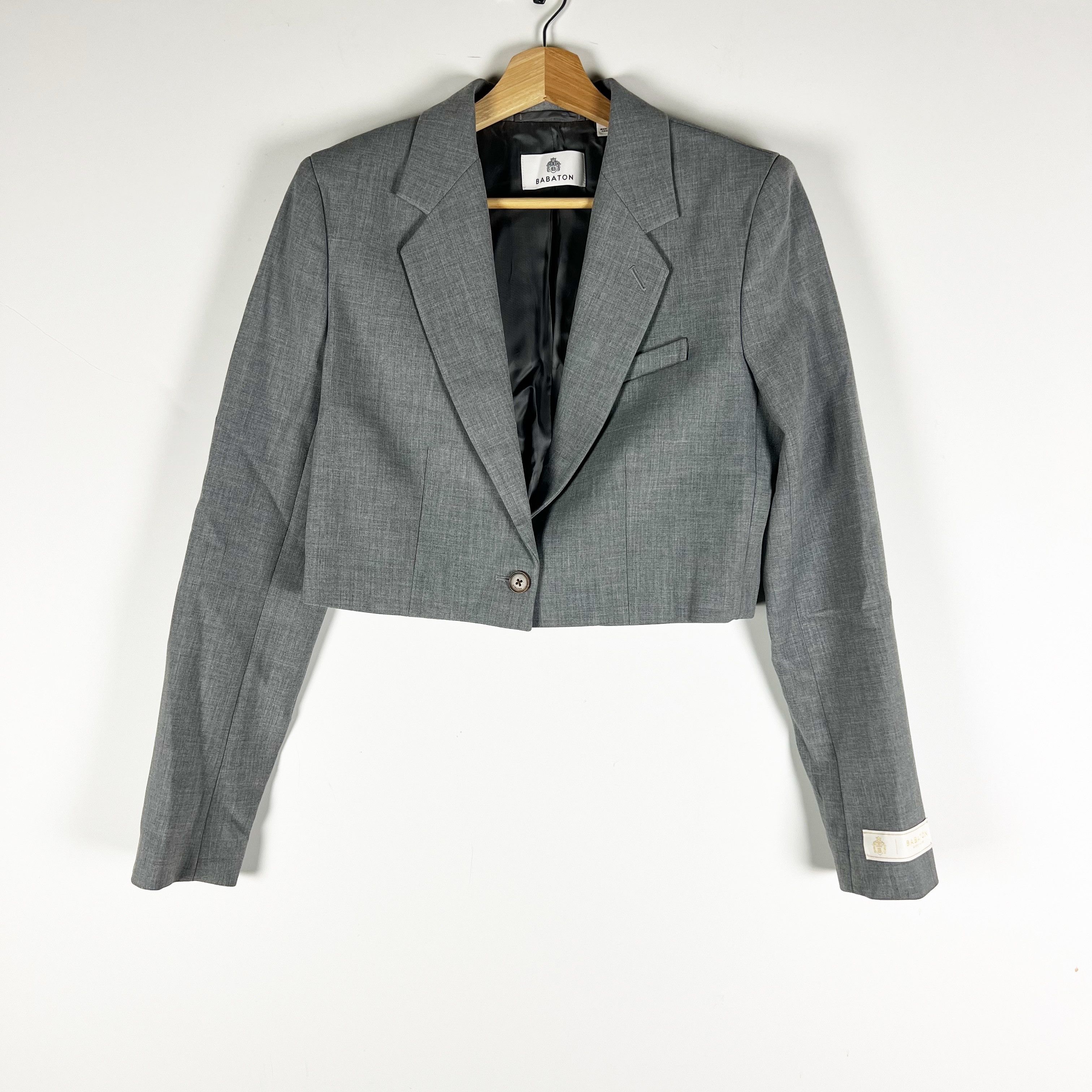 Aritzia NEW Babaton Aritzia Arbus Softly Structured Size S / US 4 / IT 40 - 1 Thumbnail