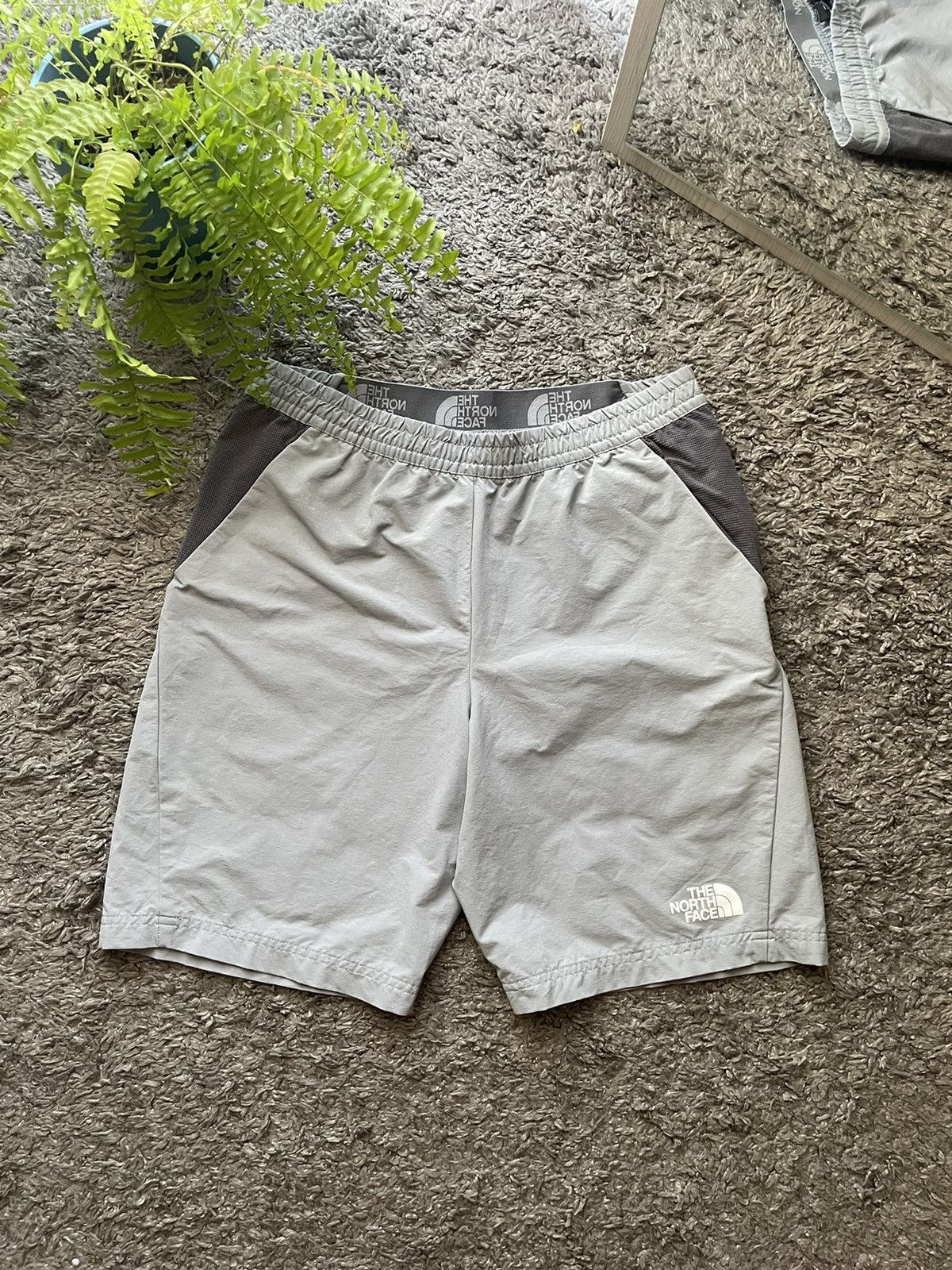 The North Face The North Face Shorts Streetwear Gorpcore Outdoor Logo Rare Size US 30 / EU 46 - 1 Thumbnail