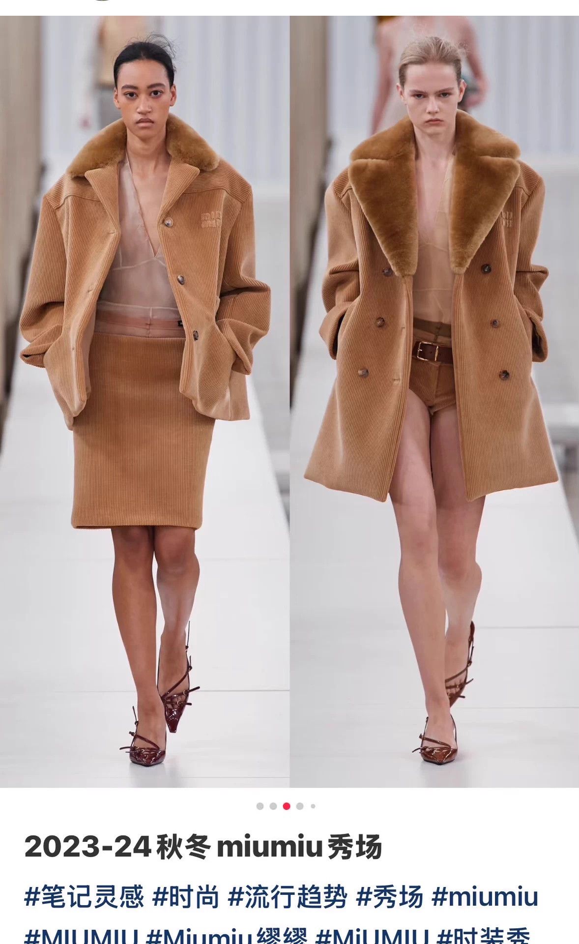 Miu Miu MIU MIU FW Runway Khaki Corduroy Lapel Jacket 40 Vintage Size S / US 4 / IT 40 - 8 Thumbnail