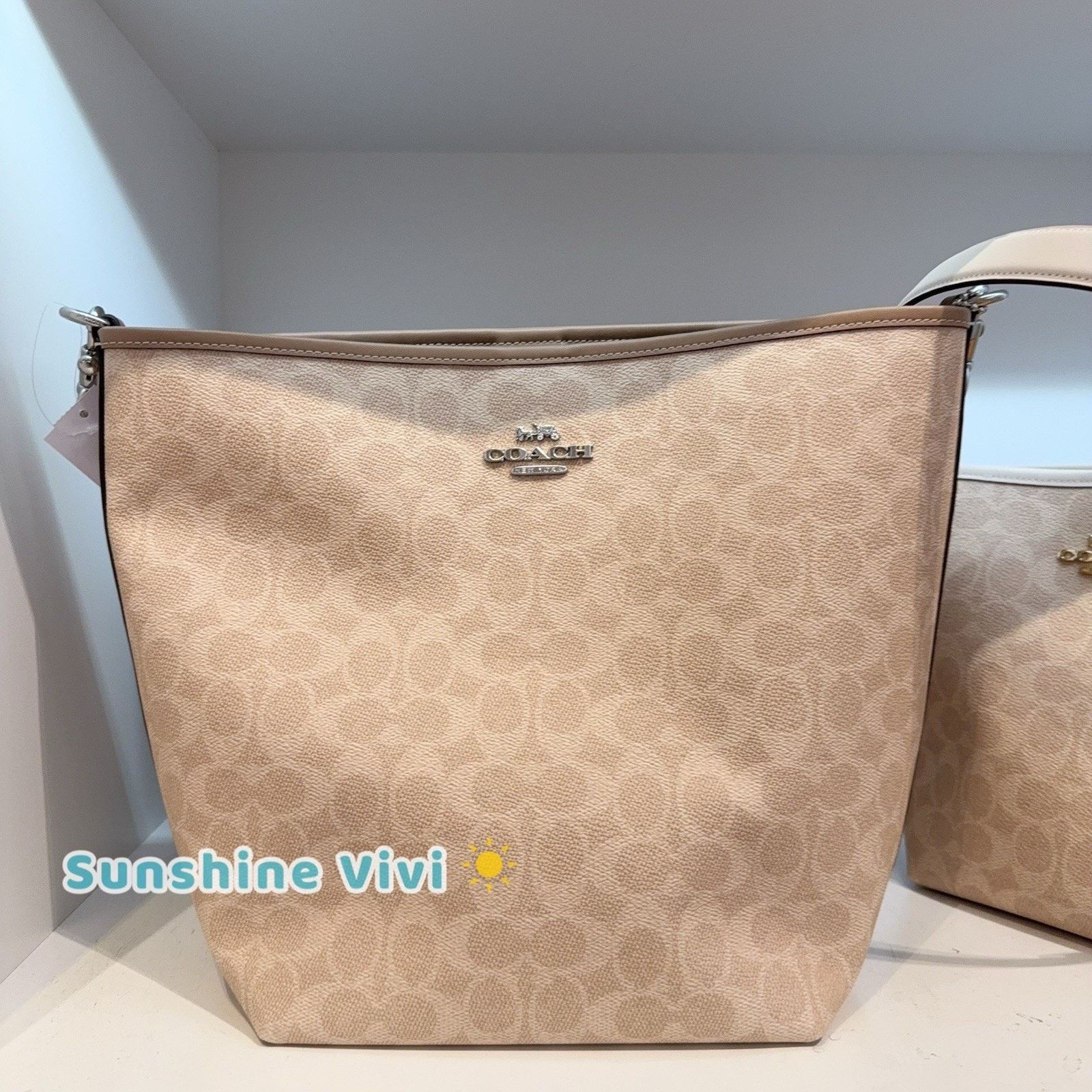 NWT Coach City Large Bucket Bag Ct802 Silver/sand/taupe in Brown, Women's