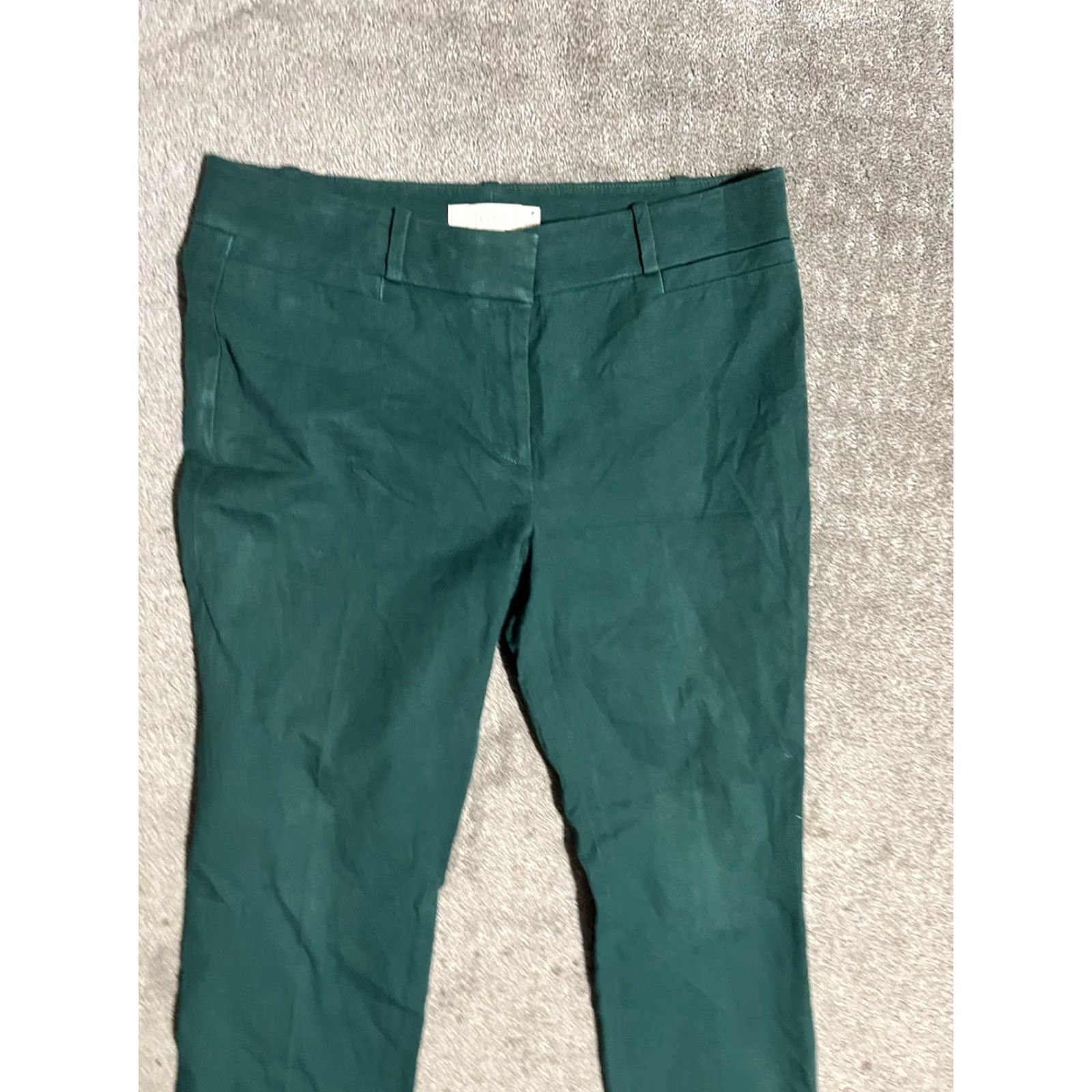 Ann Taylor Ann Taylor Loft Women's Dress Pants Julie Skinny Pants 10P Petite Green Casual Career City Modern 28 in Inseam Size 32" / US 10 / IT 46 - 2 Thumbnail