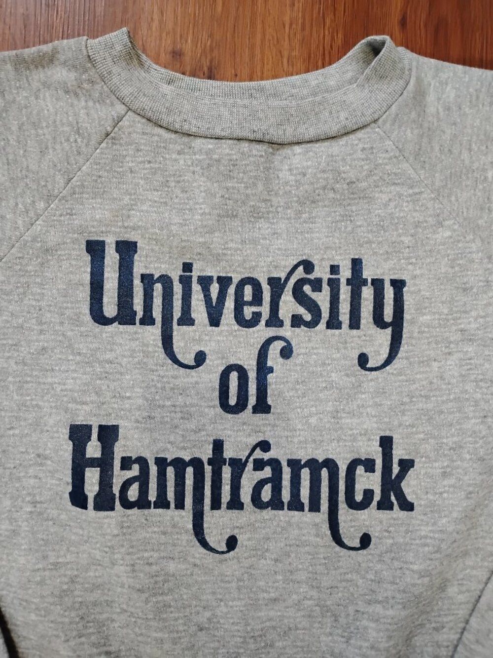Champion Vintage Champion University of Hamtramck Crewneck Sweatshirt Size US XL / EU 56 / 4 - 1 Thumbnail