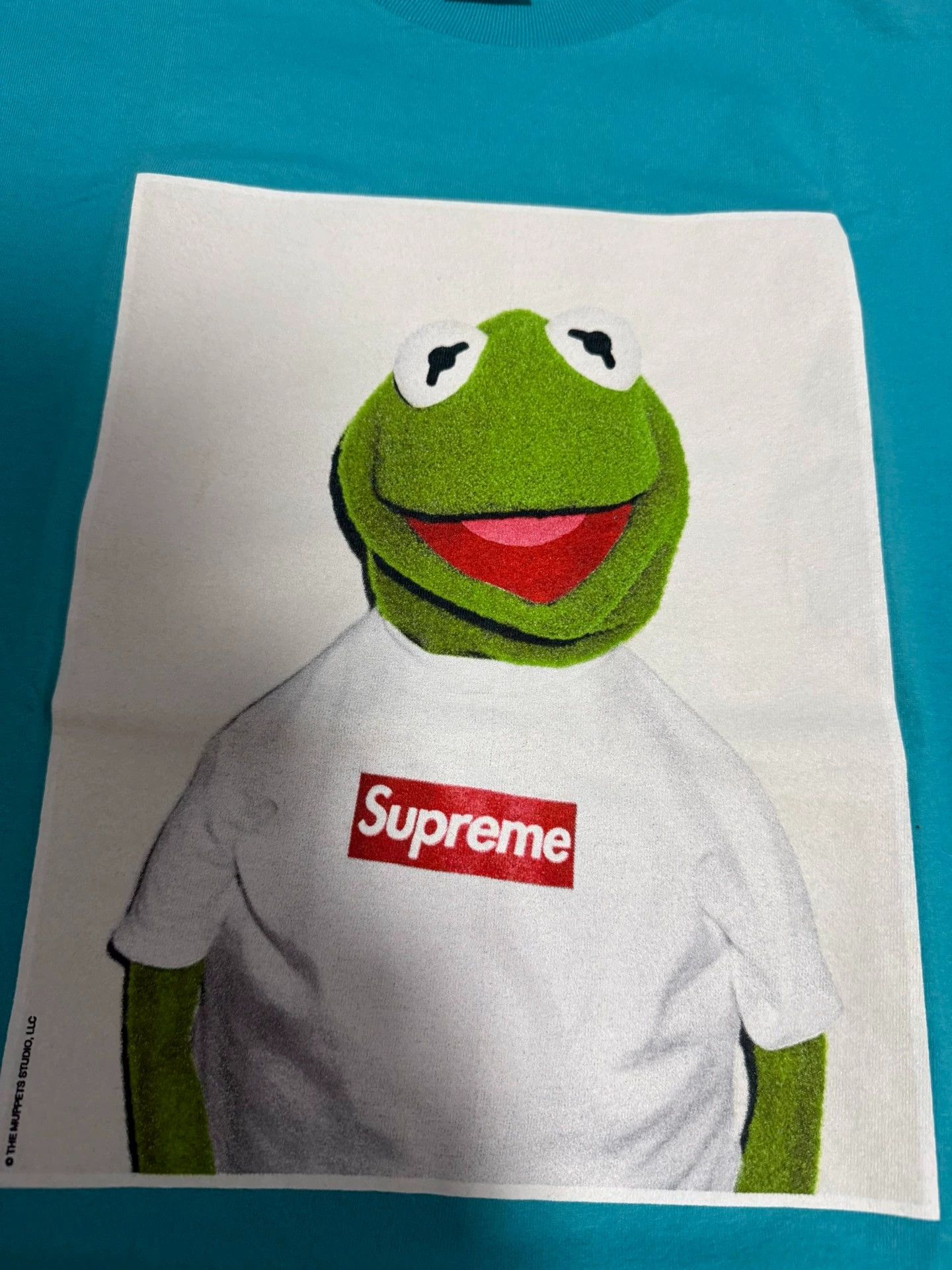 Supreme Supreme 2008 Kermit Photo Tee Teal M Size US M / EU 48-50 / 2 - 1 Thumbnail