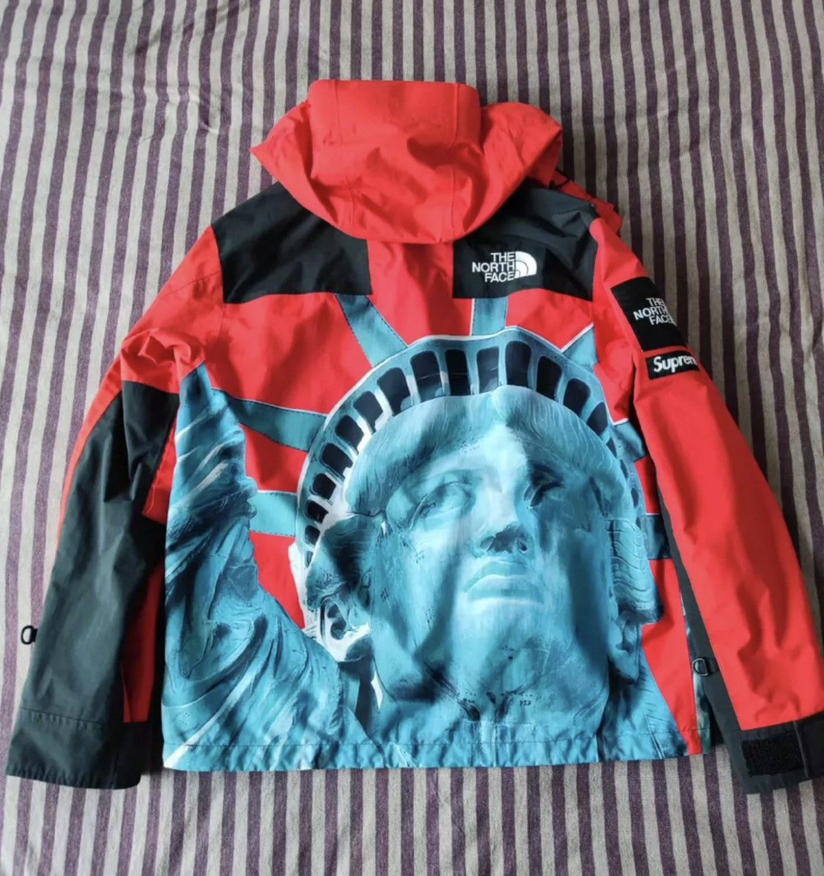Supreme × The North Face Supreme tnf north face statue of liberty mountain jacket Size US S / EU 44-46 / 1 - 2 Thumbnail