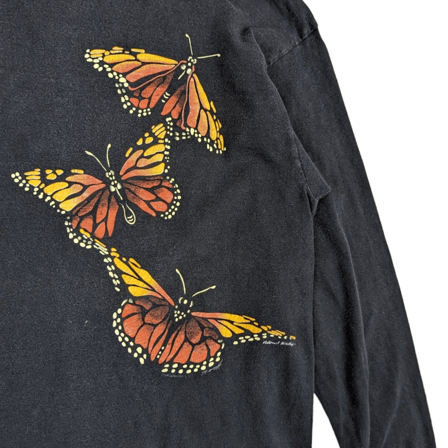 Vintage NATIONAL WILDLIFE Butterfly Animal Tee Long Sleeve T-Shirt Size US S / EU 44-46 / 1 - 5 Thumbnail