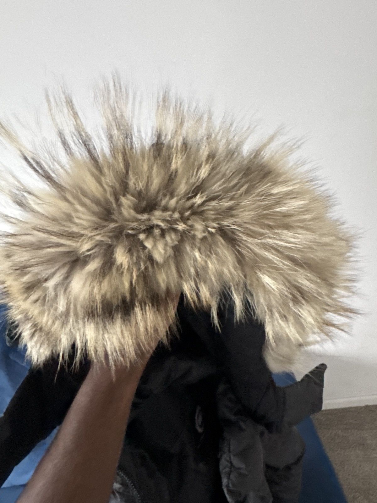 Canada Goose Canada goose parkas black label Size US M / EU 48-50 / 2 - 2 Thumbnail