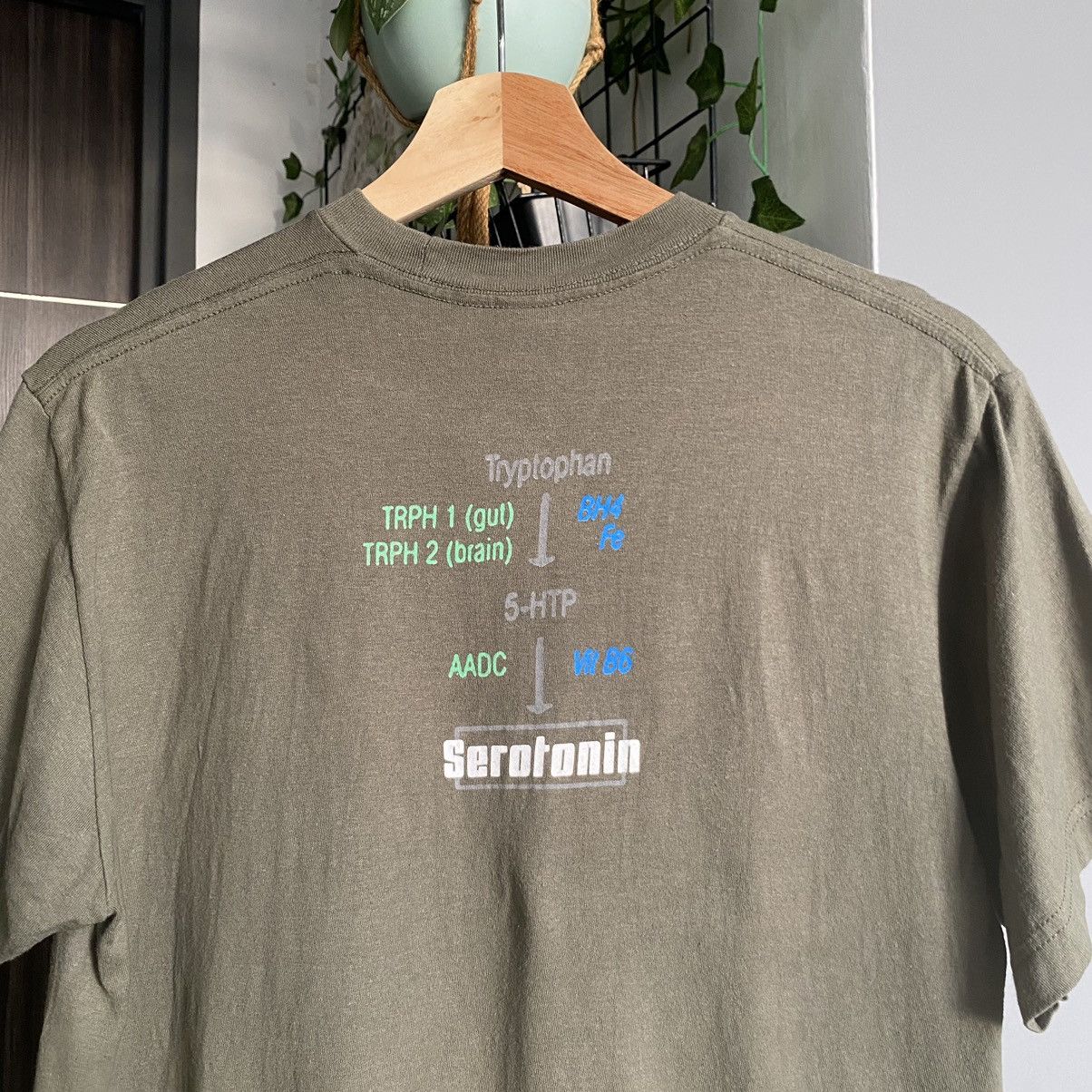 Band Tees Girl In Red Serotonin Song Indie Band ERD GRUNGE GRAIL Tee Size US M / EU 48-50 / 2 - 4 Thumbnail