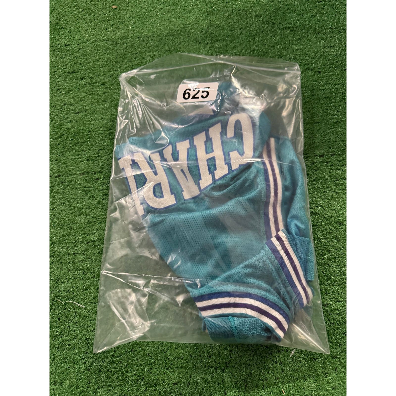 Champion Charlotte Hornets Larry Johnson Vintage Sz S Teal Size US S / EU 44-46 / 1 - 3 Thumbnail