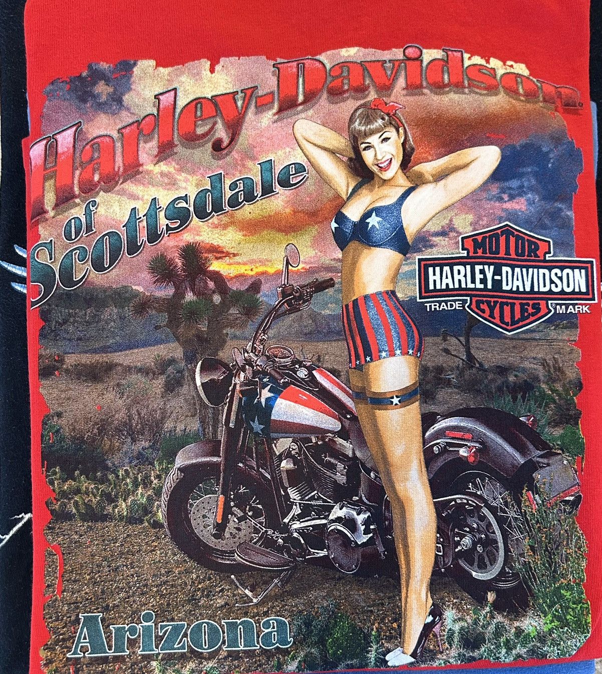 Harley Davidson 2010 XL Arizona Harley Davidson Tee Size US XL / EU 56 / 4 - 7 Thumbnail