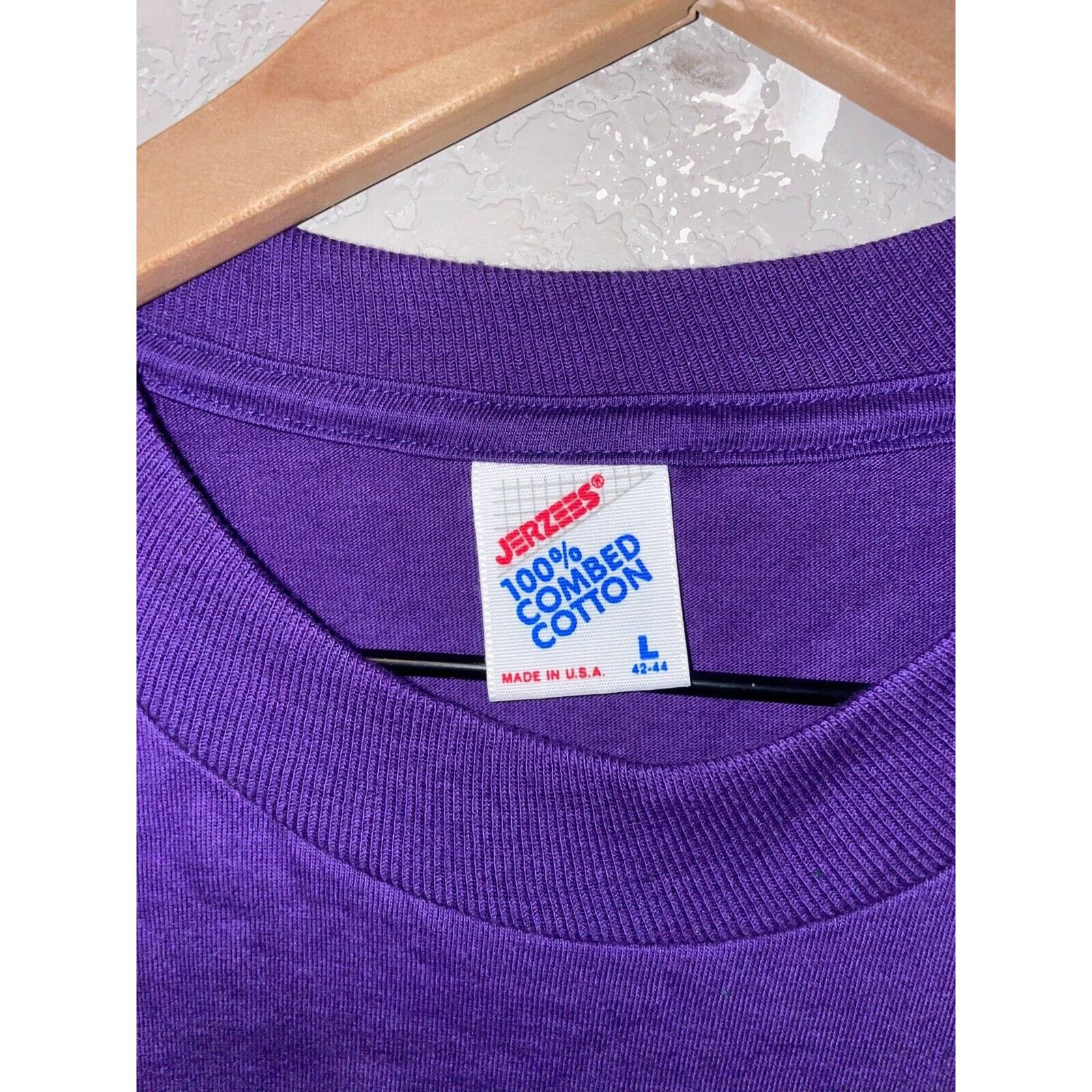 Jerzees Vintage Eureka Springs Shirt Teddy Bear Purple Tee VTG 90s L Size US L / EU 52-54 / 3 - 7 Thumbnail