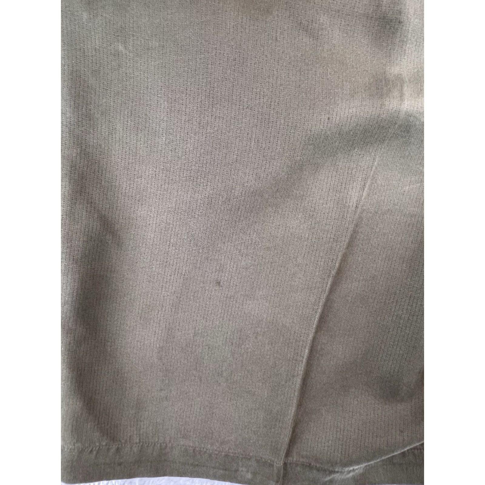 Tommy Bahama Tommy Bahama Shorts Mens 36L Beige Silk Blend Pleated Beach Travel Golf Chino Casual Size US 36 / EU 52 - 6 Thumbnail