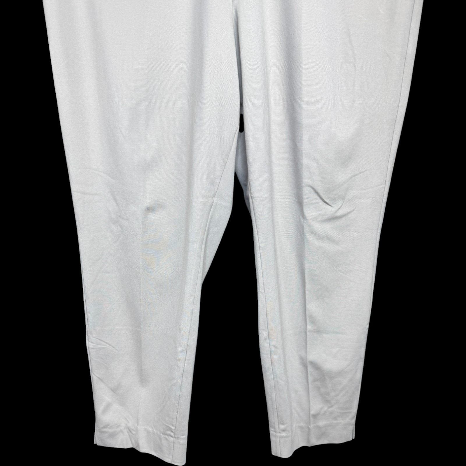 Other SUSAN GRAVER Everyday Slim Leg Pants Beige Stretch 3X NWT Size 36" / US 14 / IT 50 - 5 Thumbnail