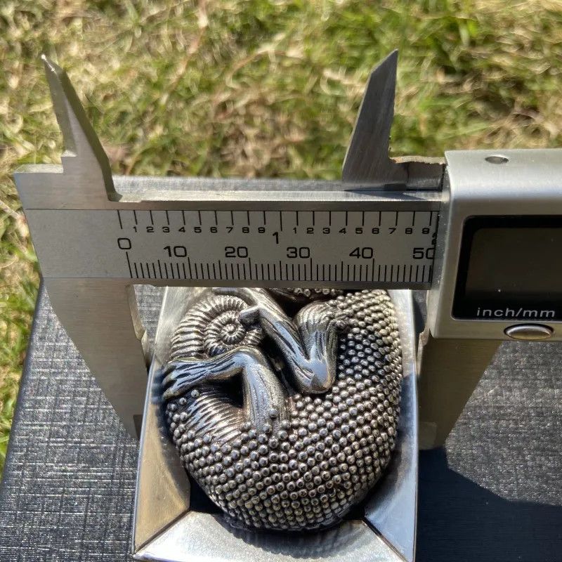 Other Chameleon Buckle Size ONE SIZE - 7 Thumbnail