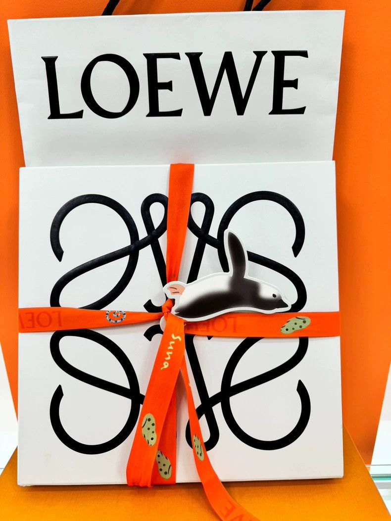 Loewe LOEWE scarf Size ONE SIZE - 1 Thumbnail
